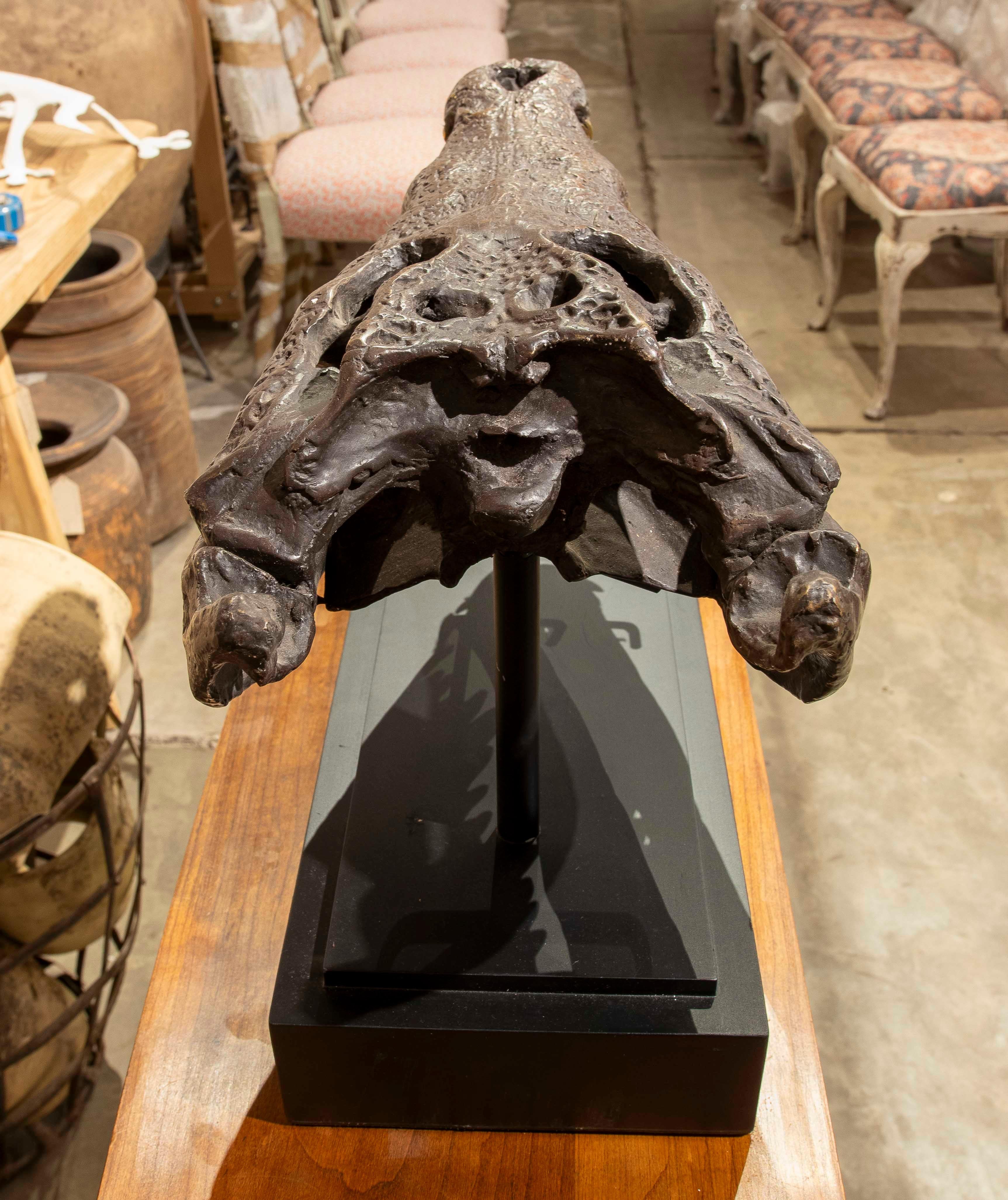 20th Century 1990s Bronze Sculptural Replica of a Crocodile Skull on a Base For Sale