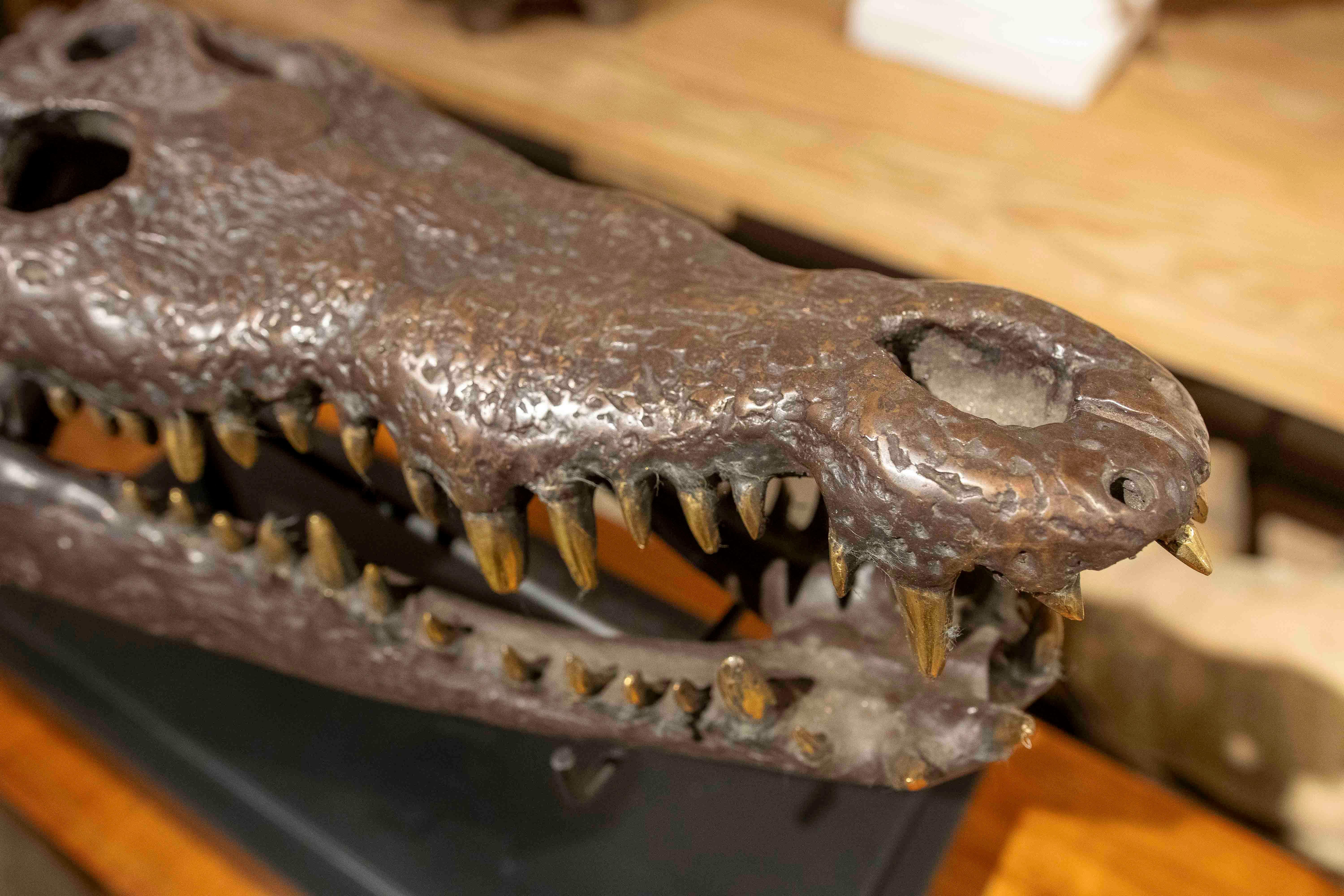 1990s Bronze Sculptural Replica of a Crocodile Skull on a Base For Sale 1