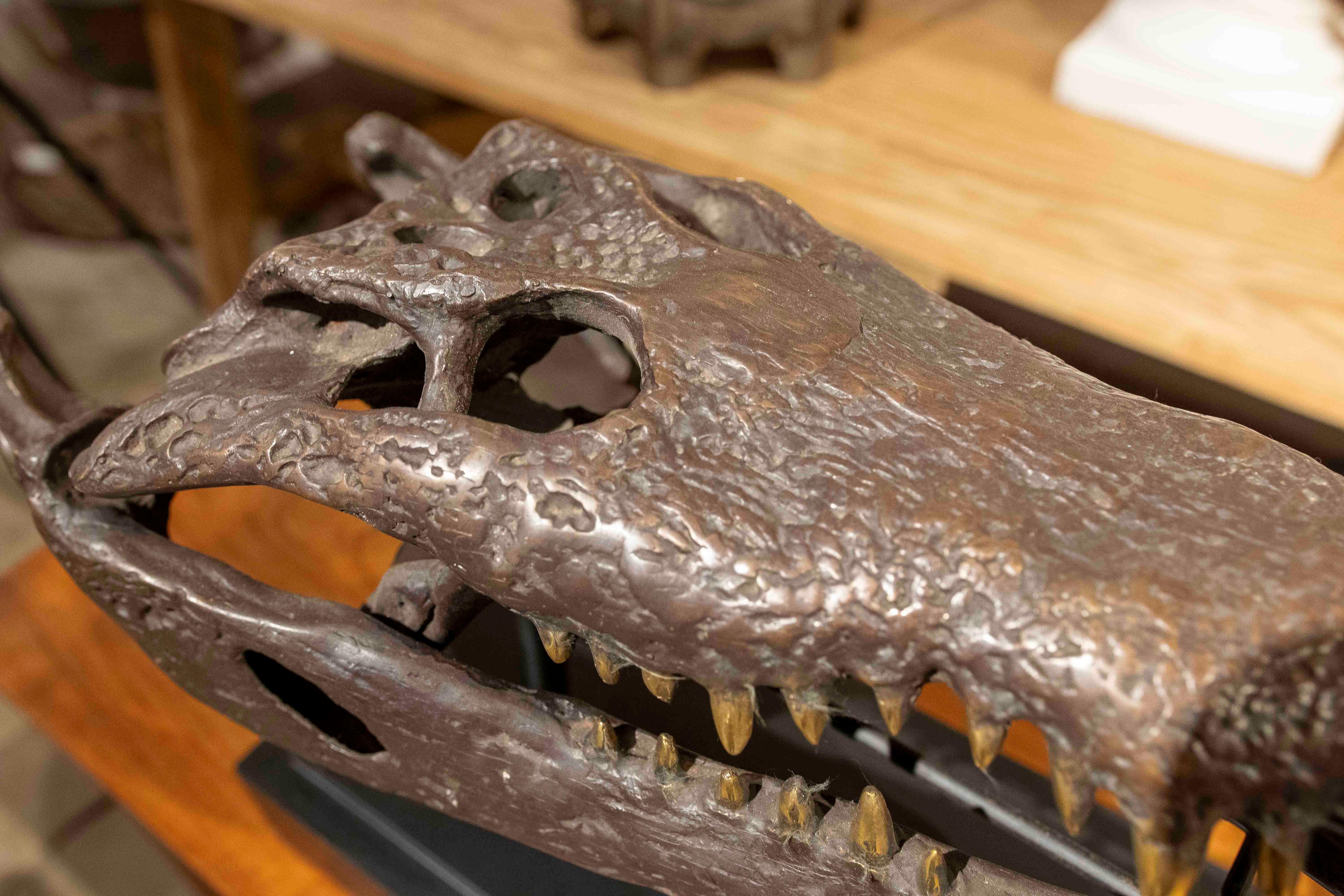 1990s Bronze Sculptural Replica of a Crocodile Skull on a Base For Sale 2