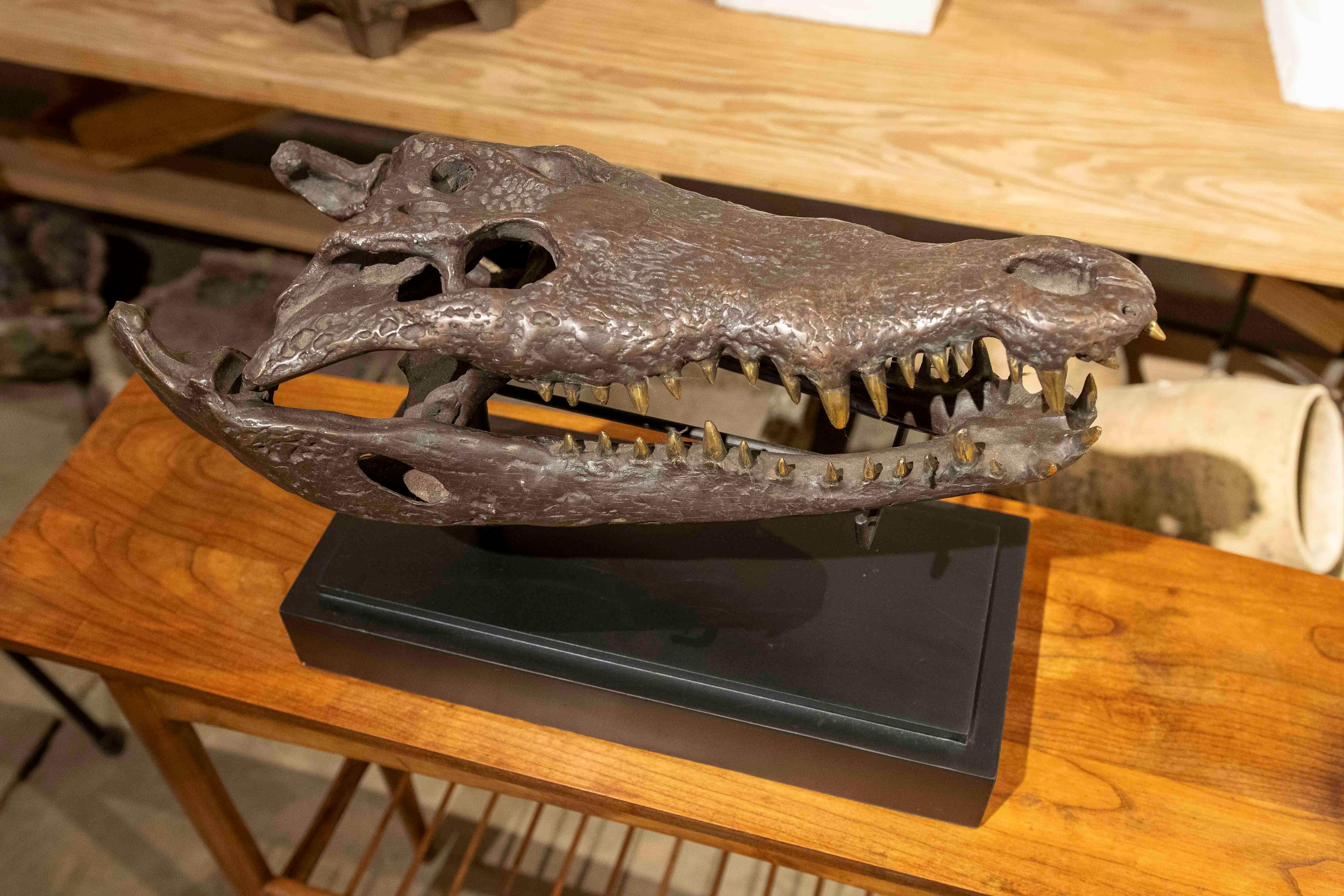 1990s Bronze Sculptural Replica of a Crocodile Skull on a Base For Sale 4
