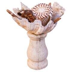 1990s Decorative Centerpiece with Natural Shells on a Marble Base