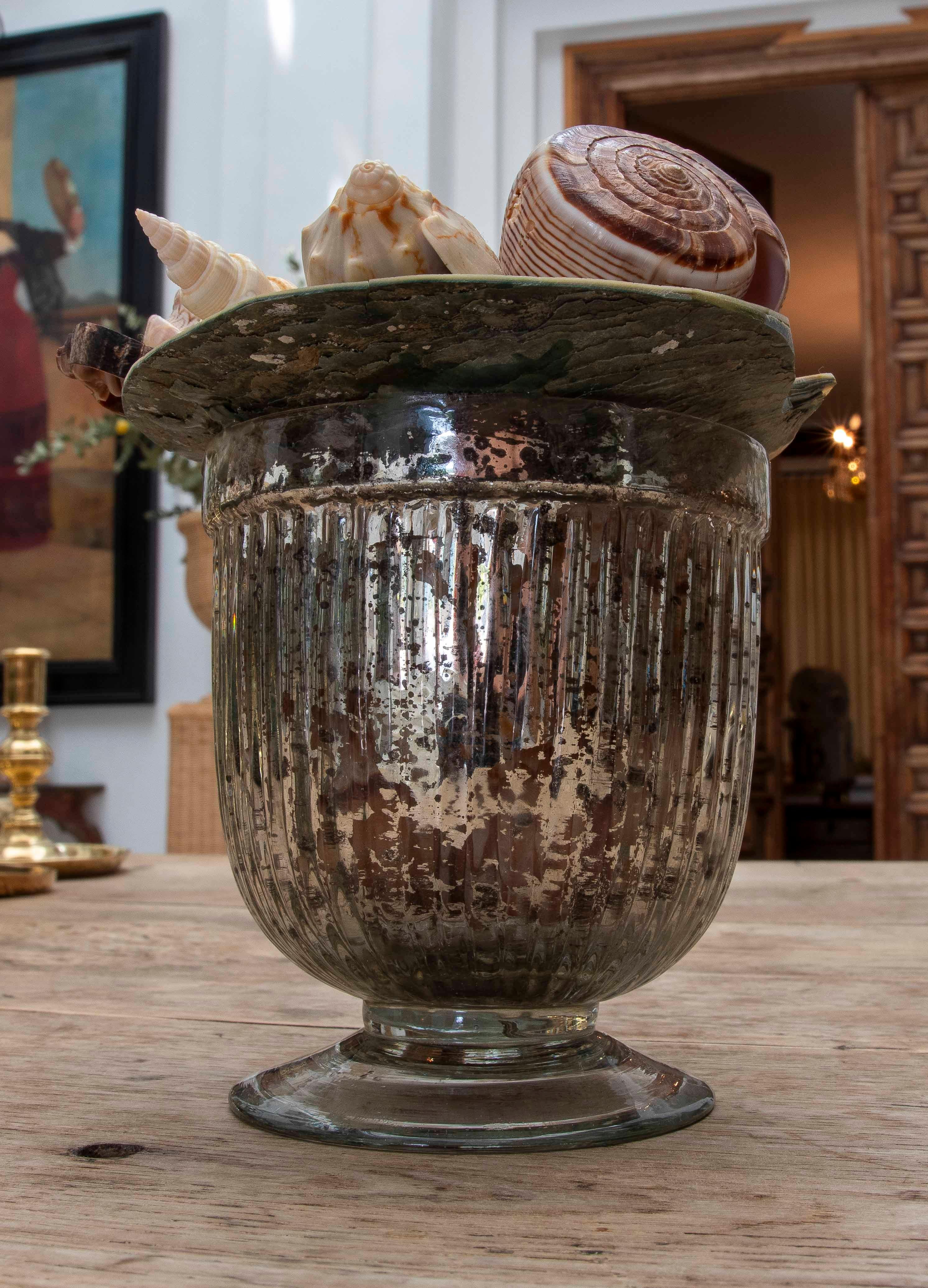 1990 Composition décorative de coquillages dans une coupe en verre au mercure en vente 9