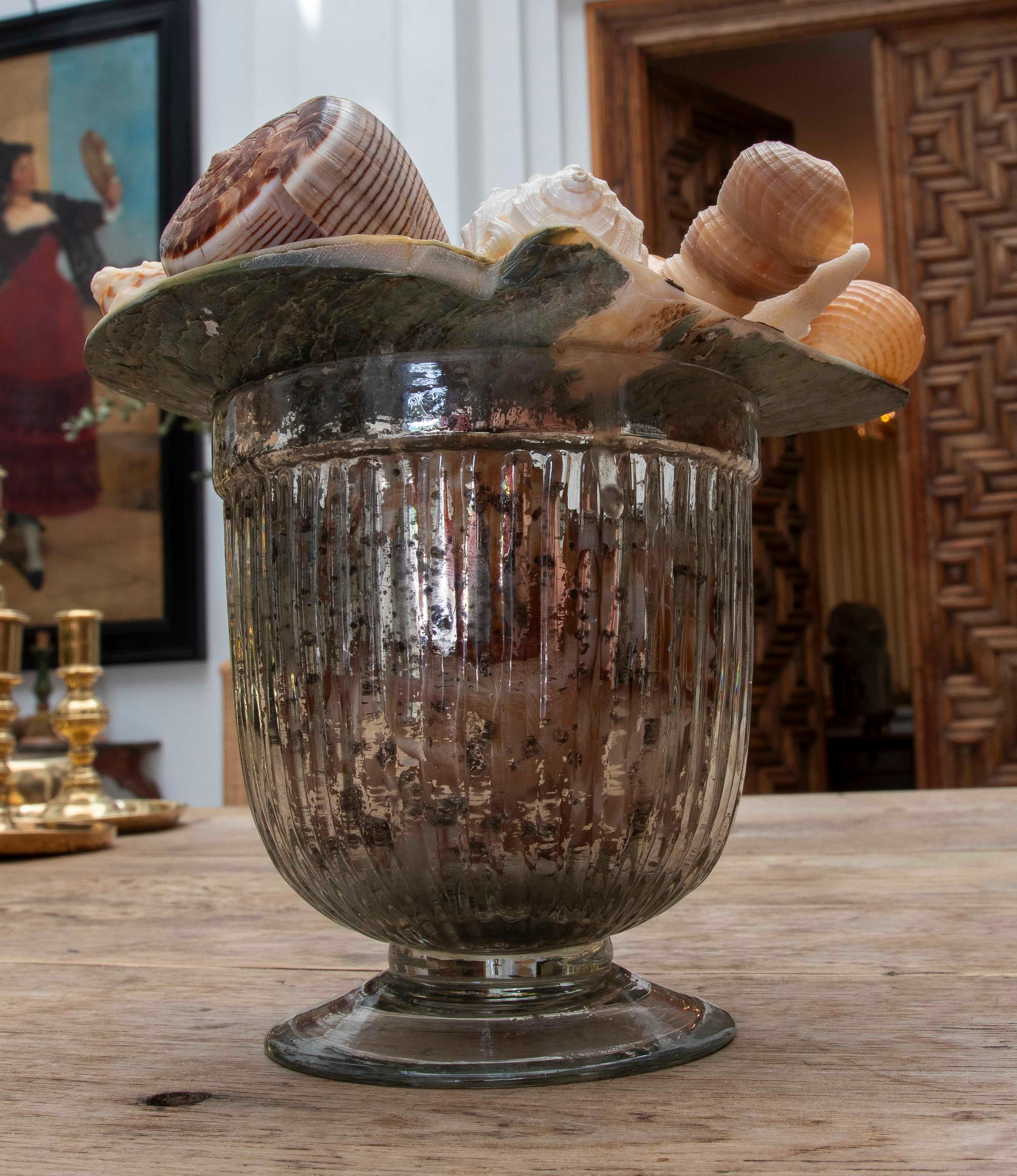 1990 Composition décorative de coquillages dans une coupe en verre au mercure en vente 10