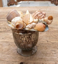 1990 Composition décorative de coquillages dans une coupe en verre au mercure