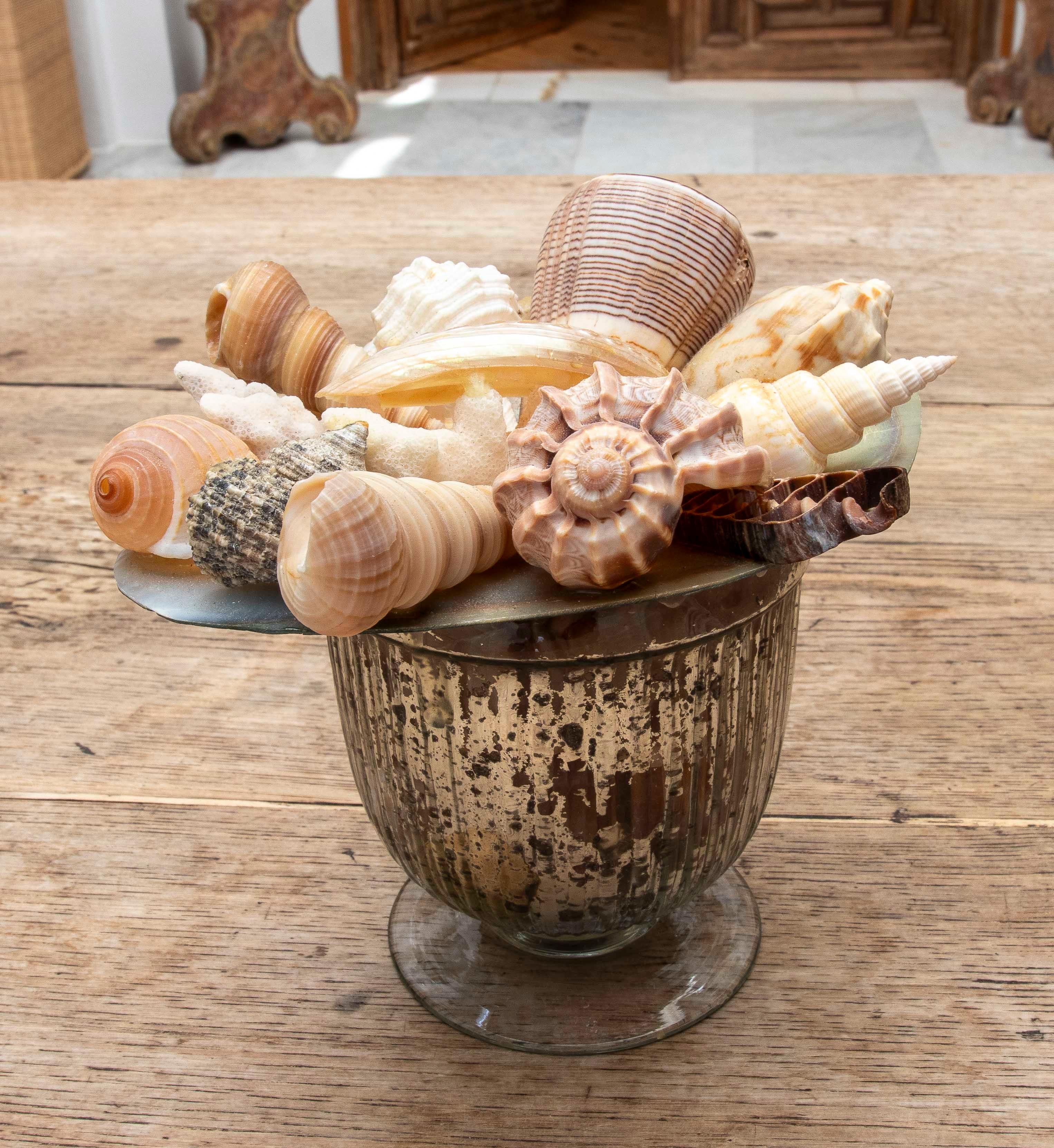1990 Composition décorative de coquillages dans une coupe en verre au mercure Bon état - En vente à Marbella, ES