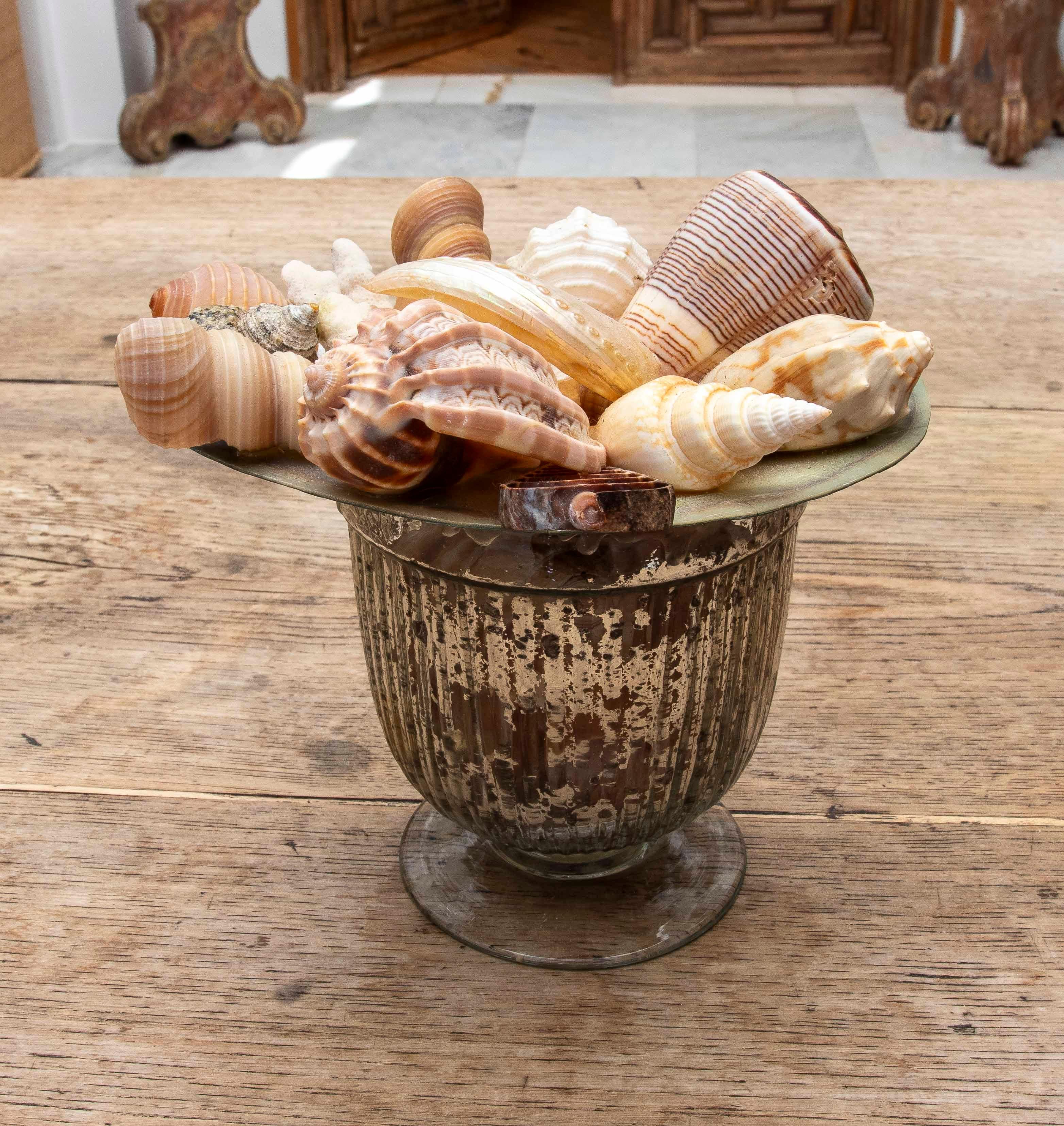 20ième siècle 1990 Composition décorative de coquillages dans une coupe en verre au mercure en vente