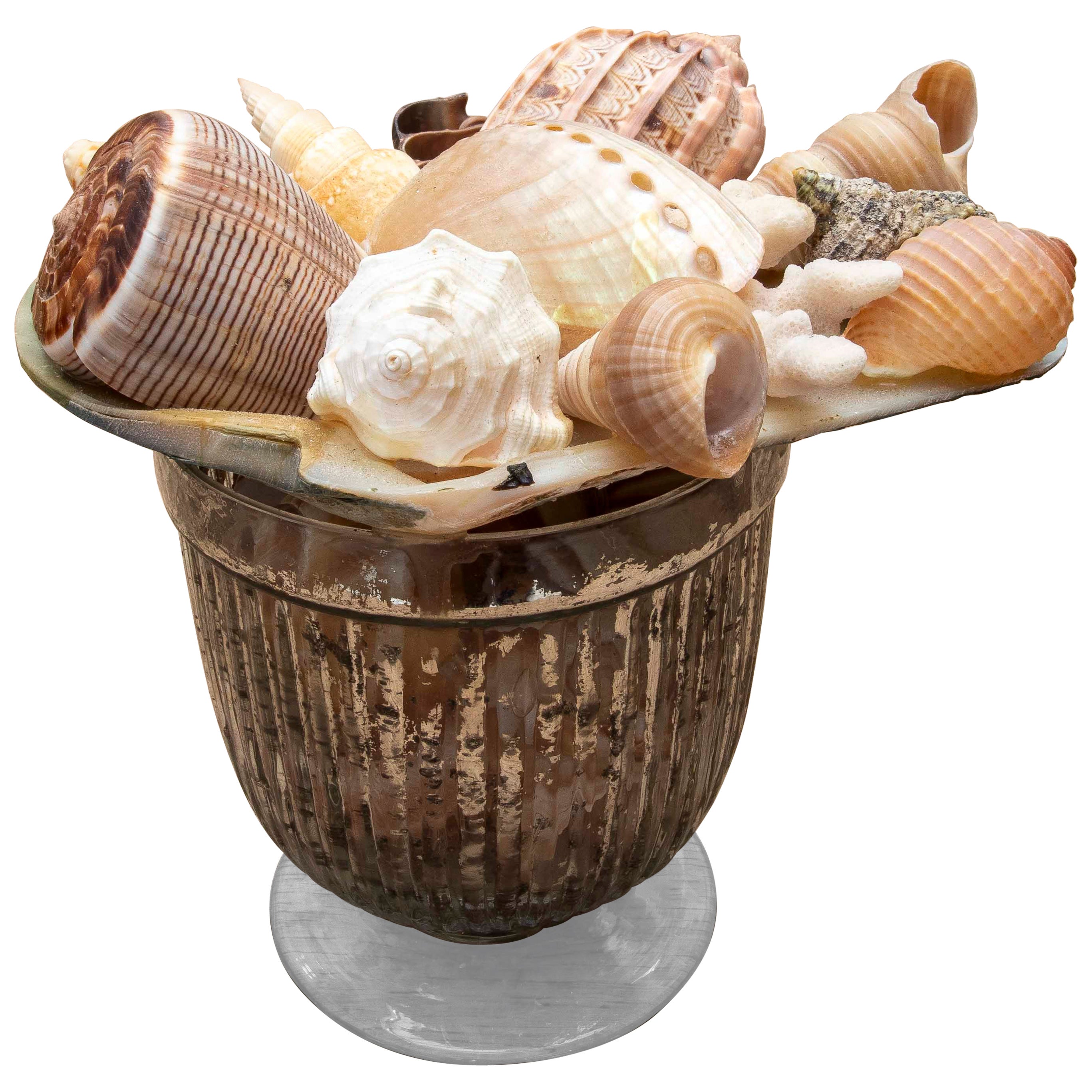 1990s Decorative Composition of Seashells in a Mercury Glass Cup