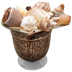 Composizione decorativa degli anni '90 di conchiglie in una coppa di vetro al mercurio