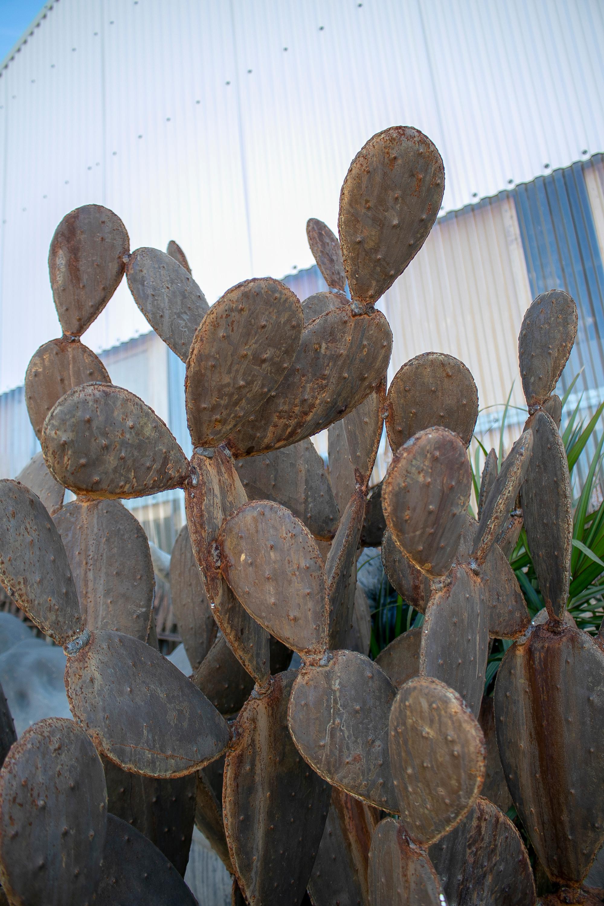 Sculpture de cactus en fer français des années 1990 en vente 5