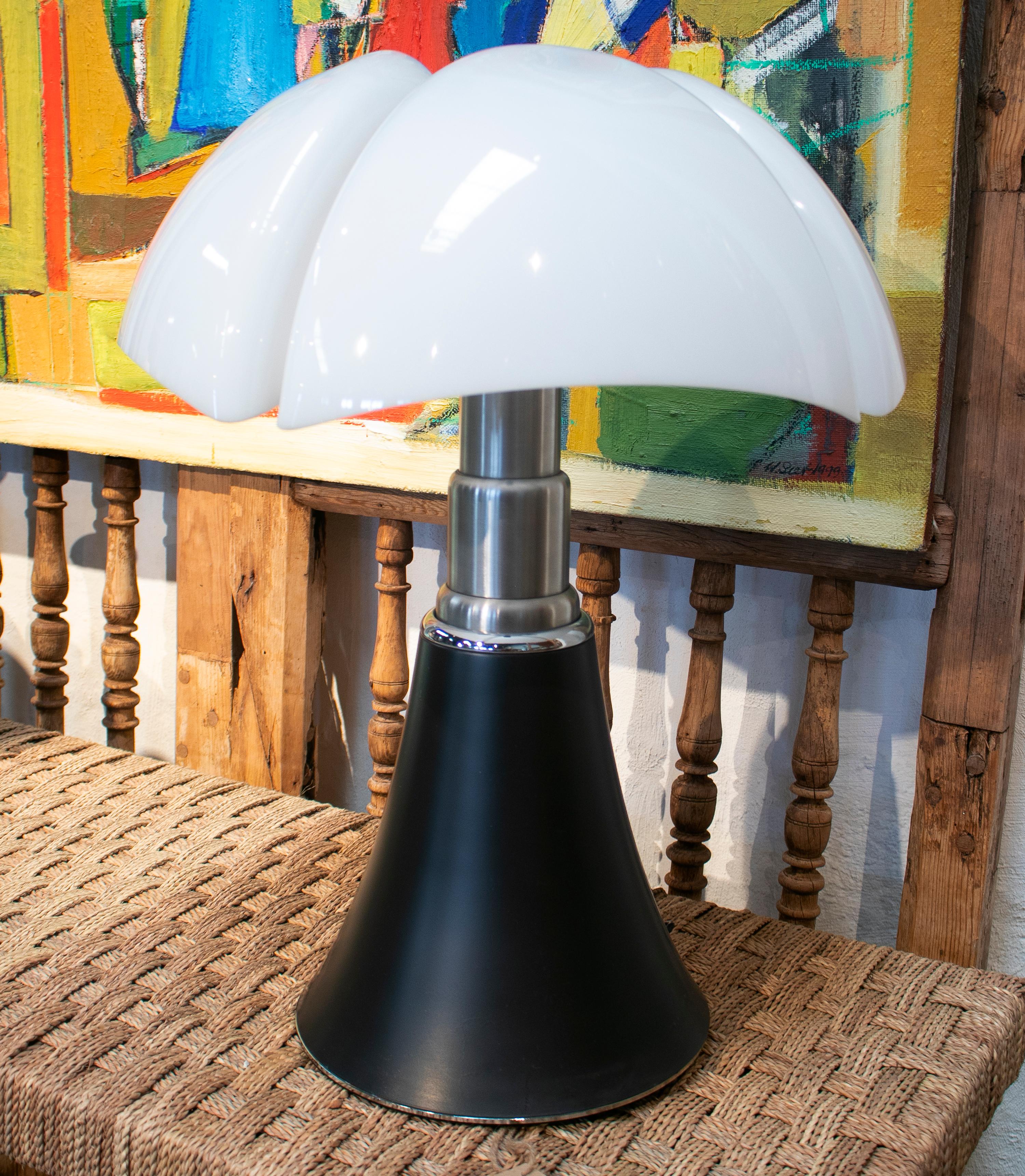 martinelli luce