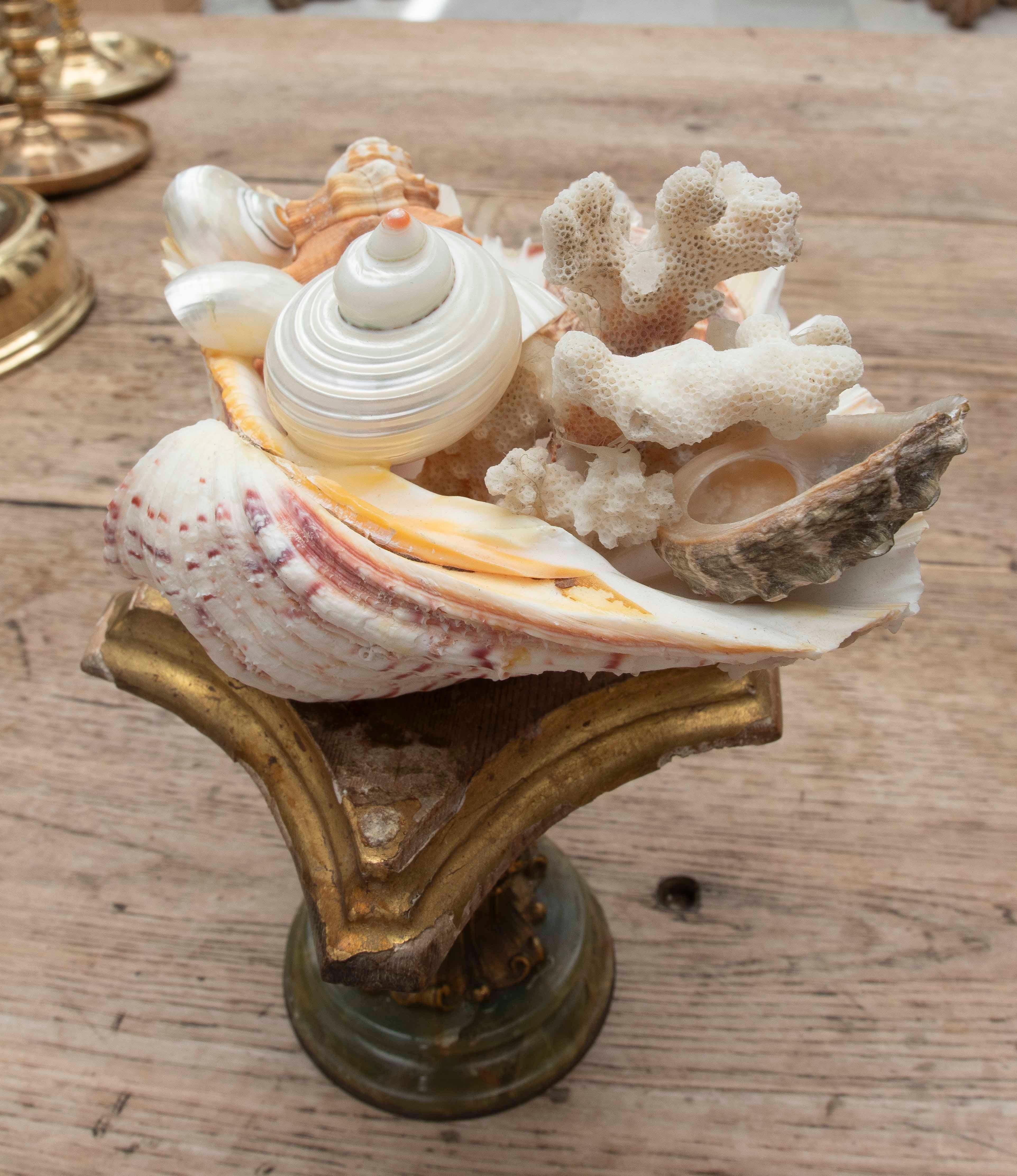 1990 Centre de table Marin avec coquillages naturels sur une base de style baroque en vente 5