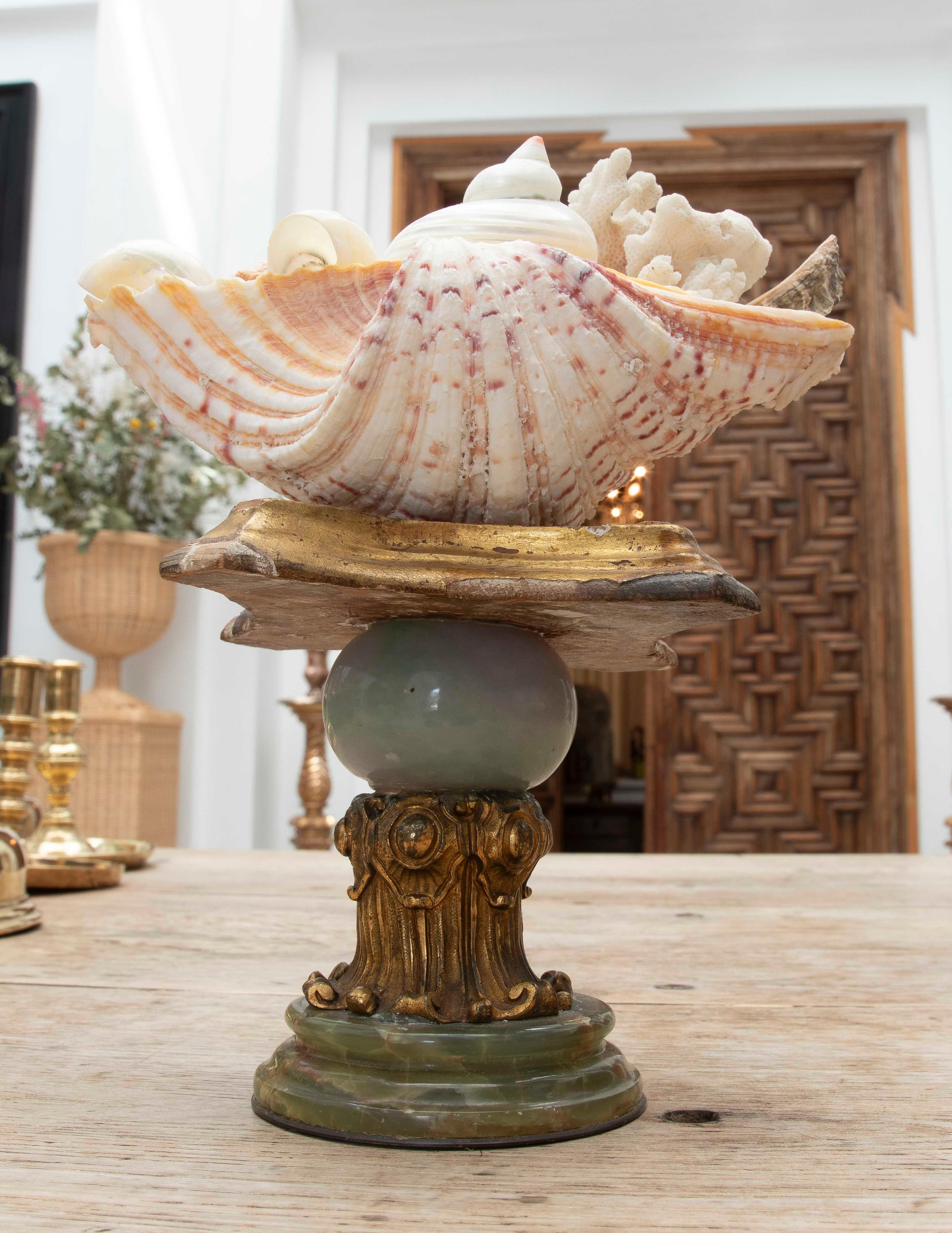 1990 Centre de table Marin avec coquillages naturels sur une base de style baroque en vente 6