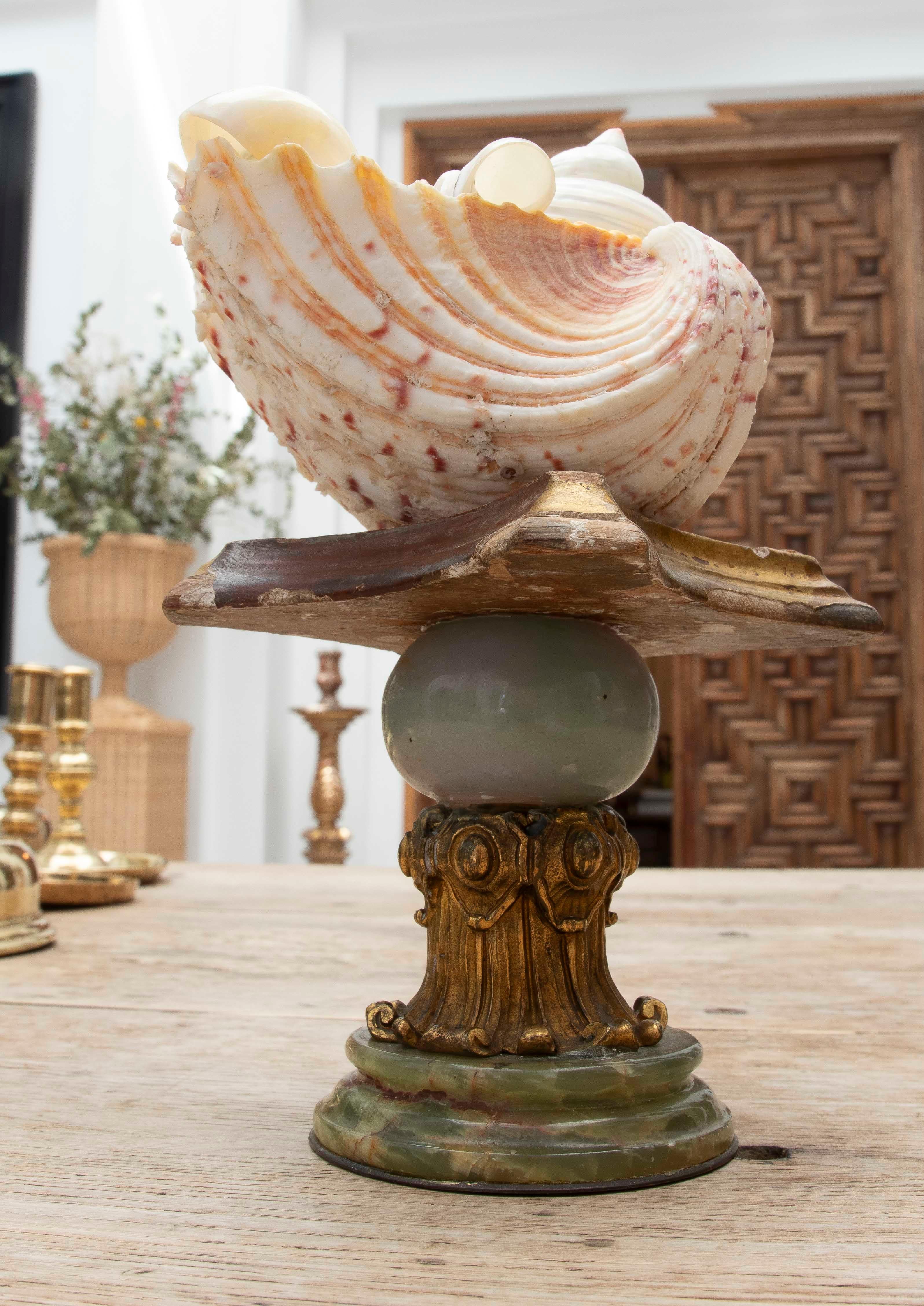 1990 Centre de table Marin avec coquillages naturels sur une base de style baroque en vente 7