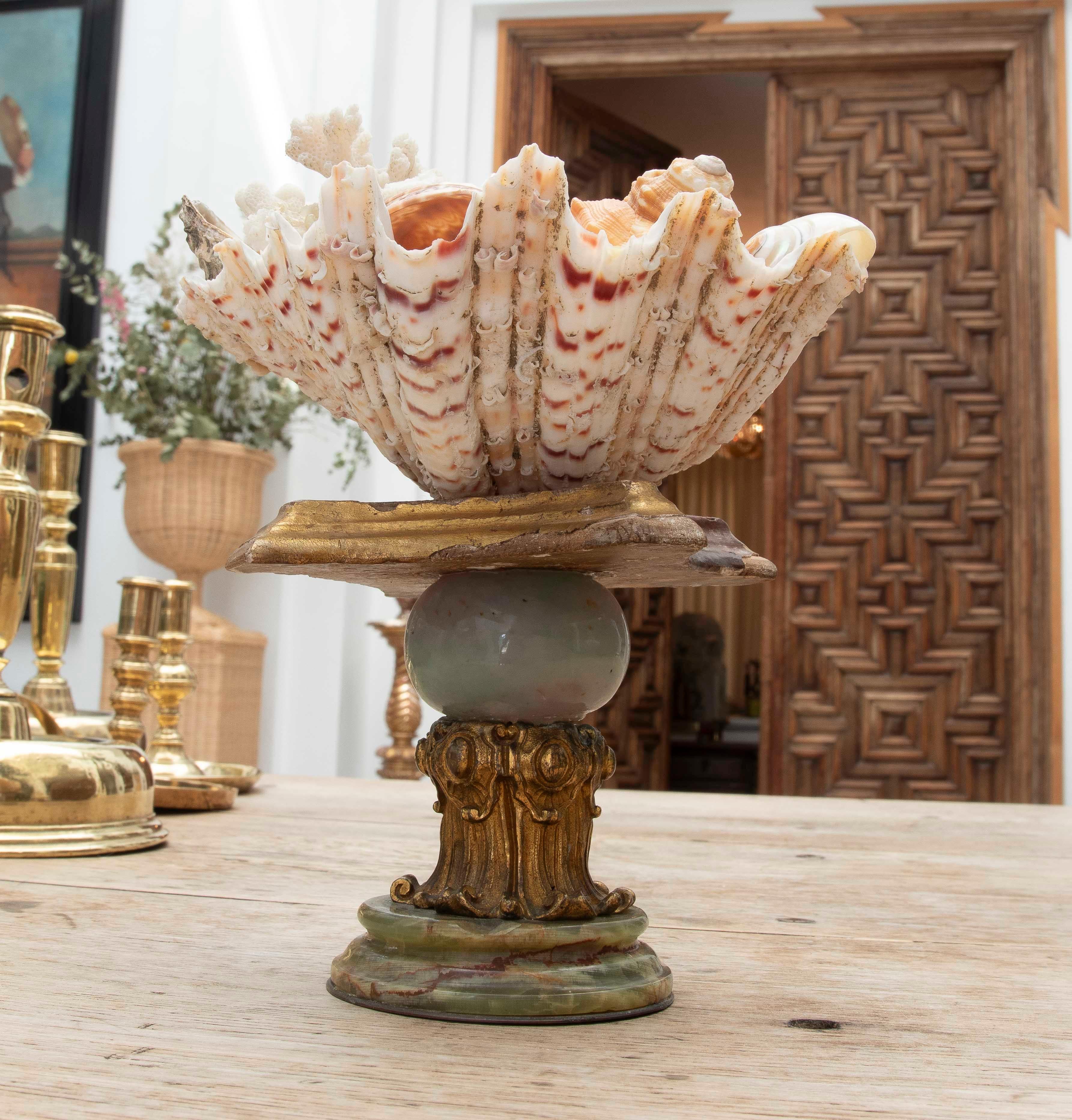 1990 Centre de table Marin avec coquillages naturels sur une base de style baroque en vente 8