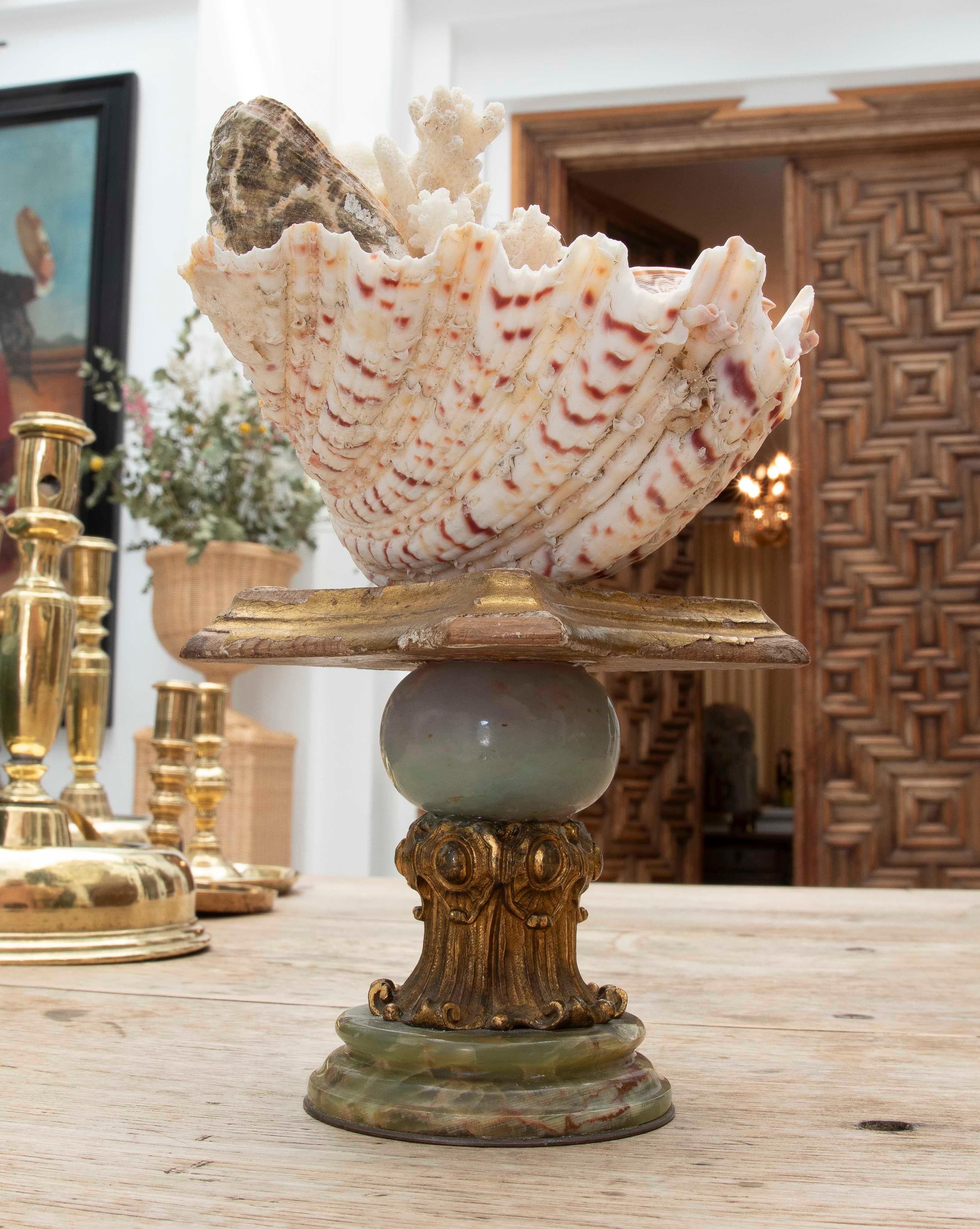 1990 Centre de table Marin avec coquillages naturels sur une base de style baroque en vente 9