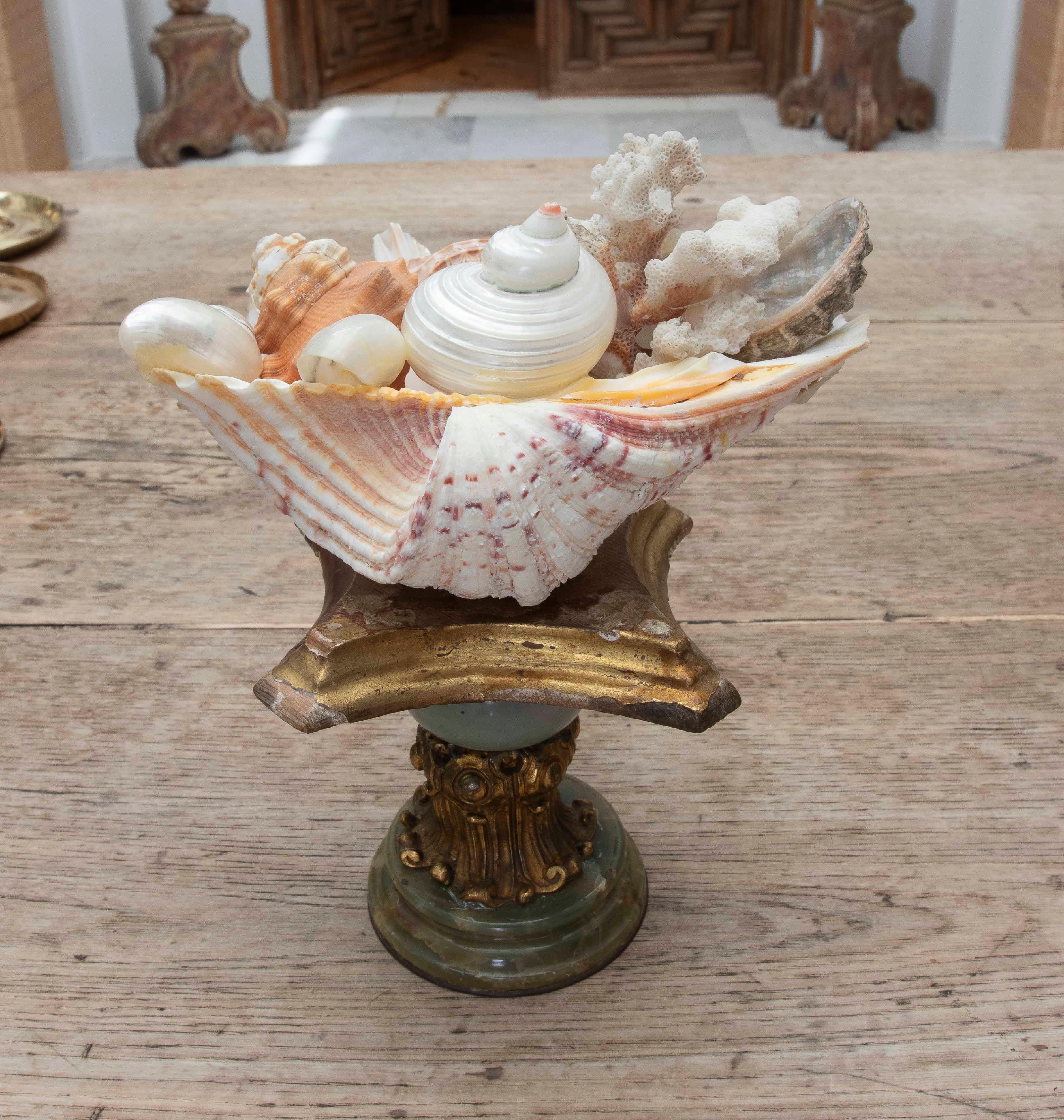 Une composition décorative exquise composée d'une grande coquille Saint-Jacques naturelle, qui sert de bol à un ensemble délicat de conques, de coraux et d'éléments marins authentiques, disposés avec une harmonie esthétique et un flair artisanal.