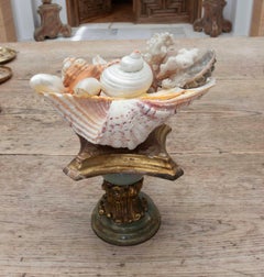 1990s Marine Centerpiece with Natural Shells on a Baroque Style Base