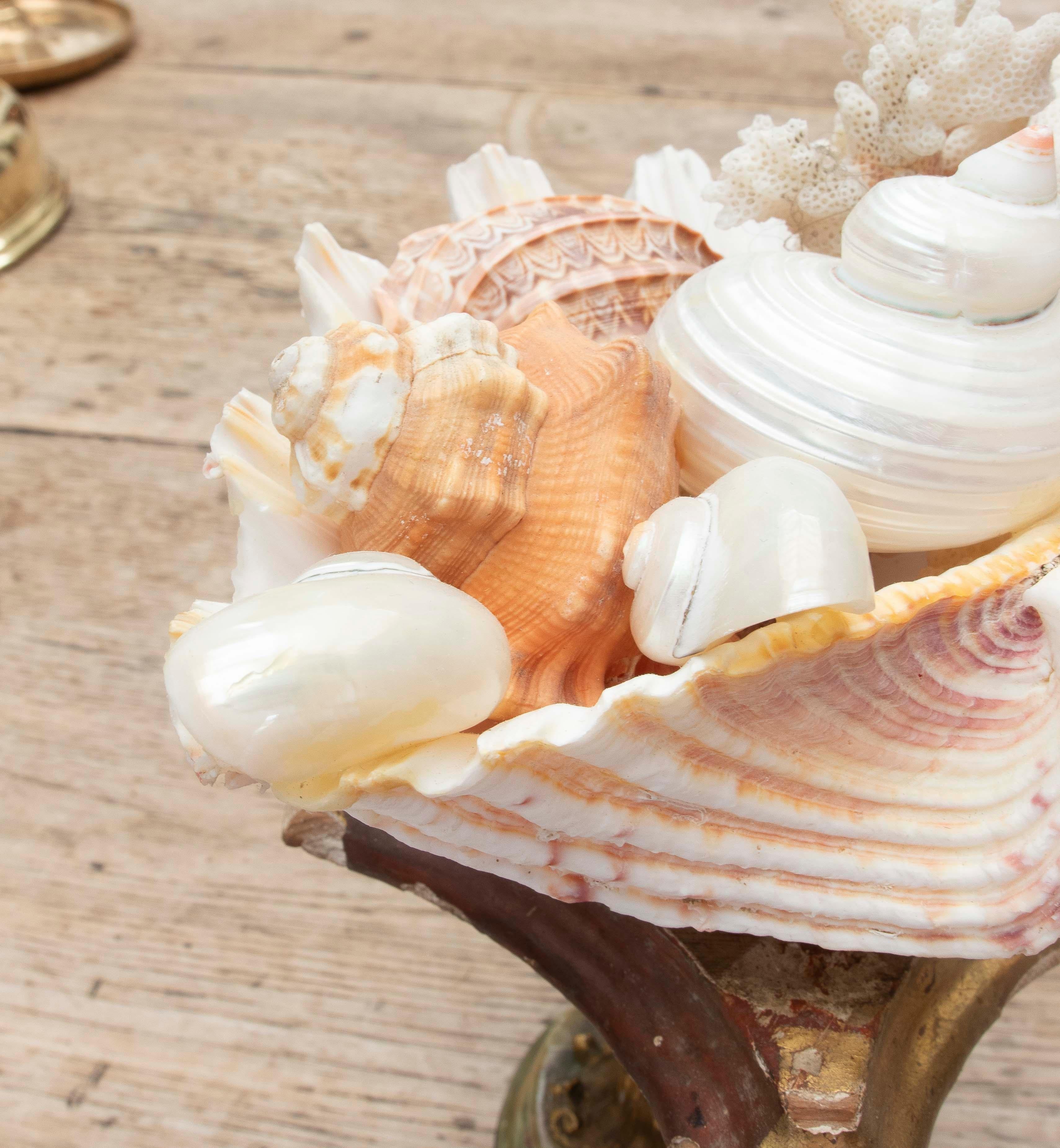 1990 Centre de table Marin avec coquillages naturels sur une base de style baroque en vente 2