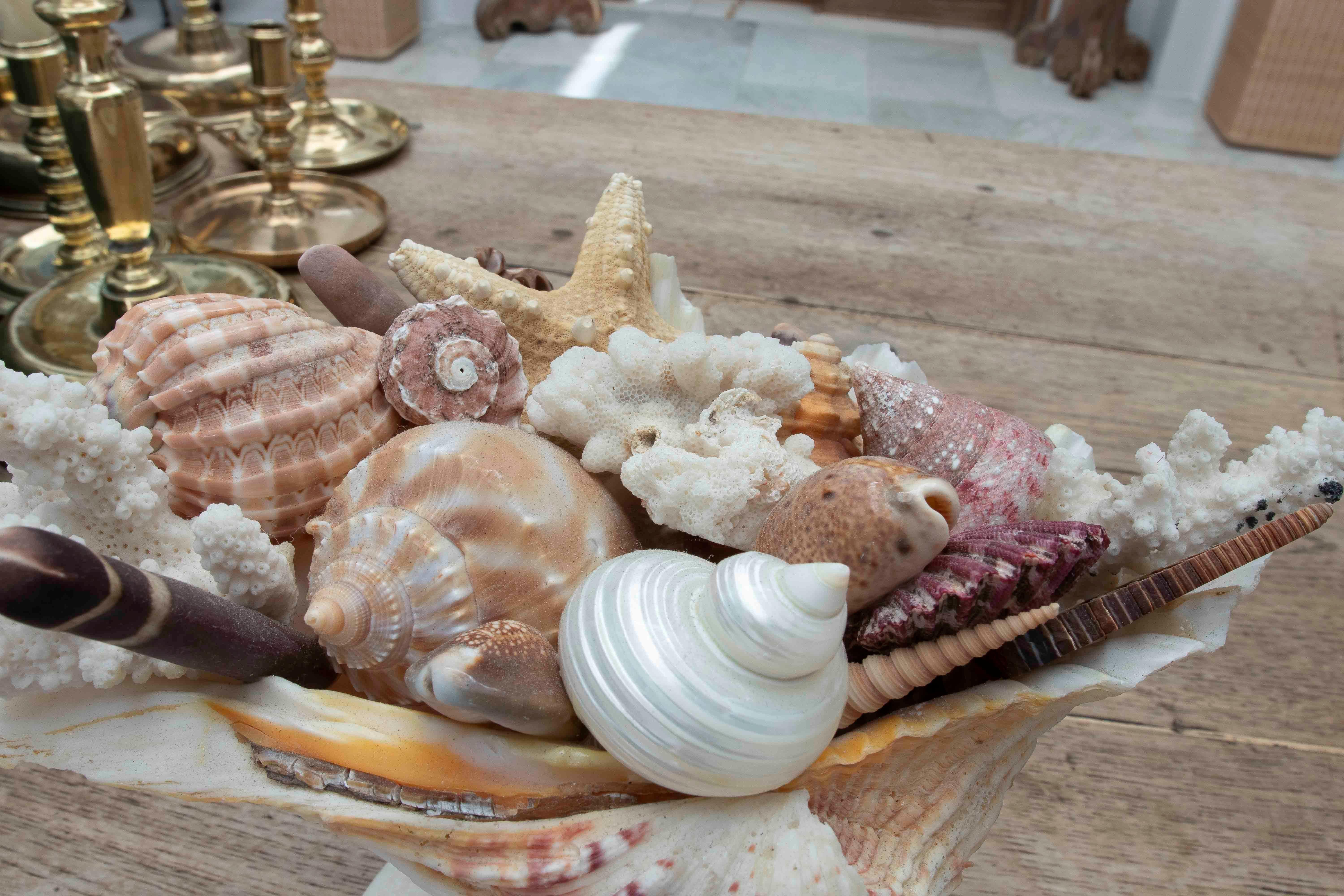 1990s Marine Centerpiece with Shells and Marble Base For Sale 5