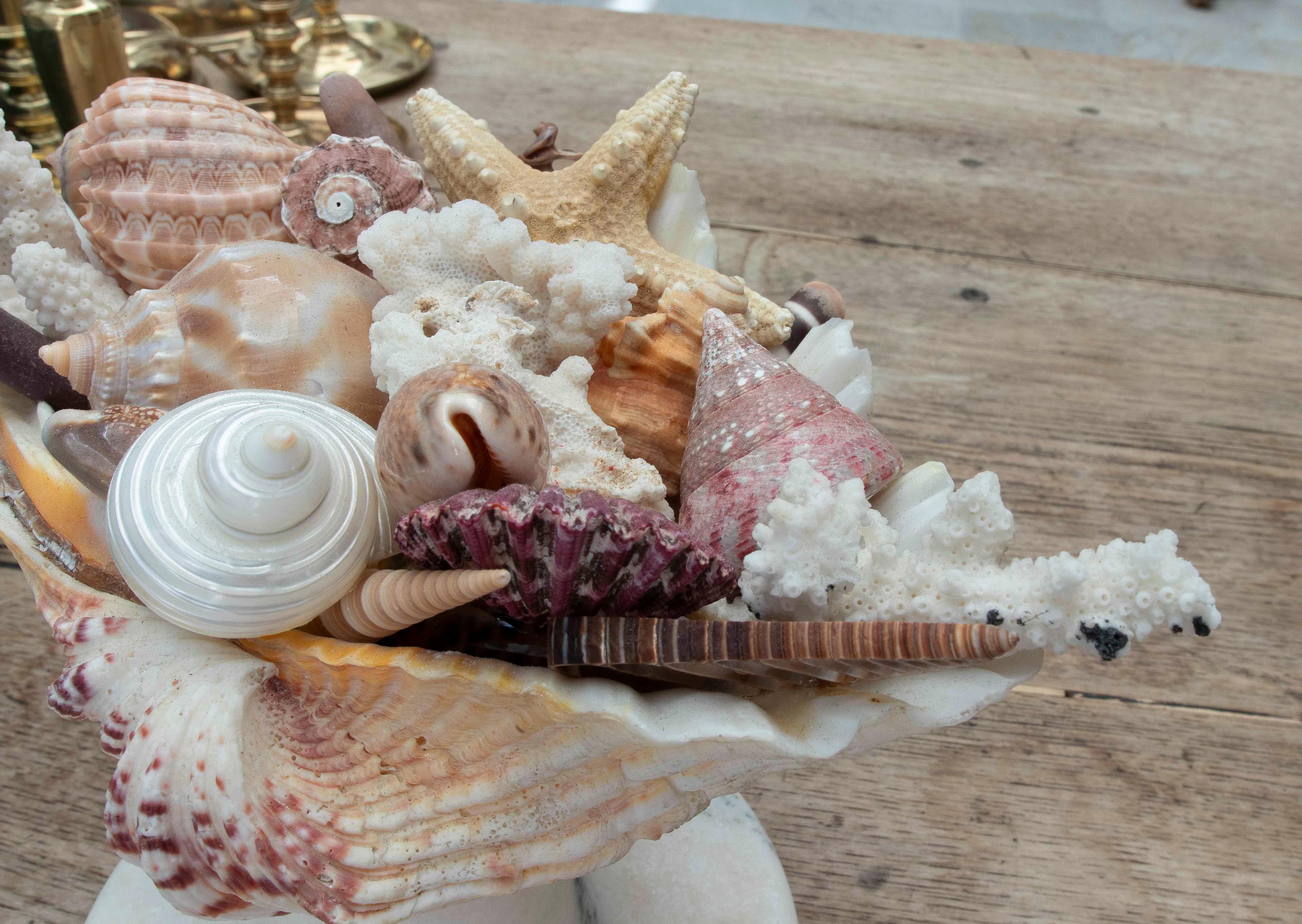 1990s Marine Centerpiece with Shells and Marble Base For Sale 6
