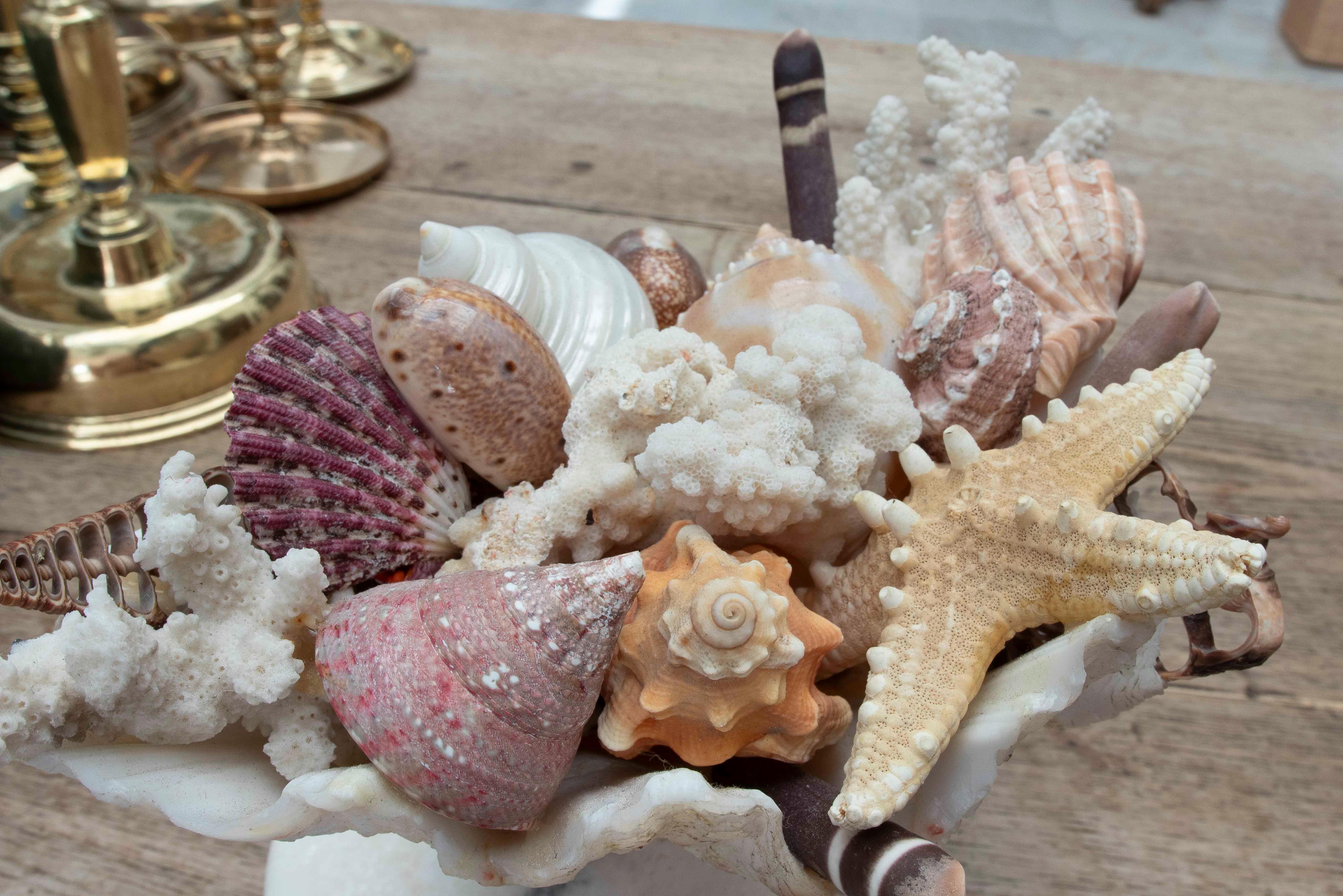 1990s Marine Centerpiece with Shells and Marble Base For Sale 7