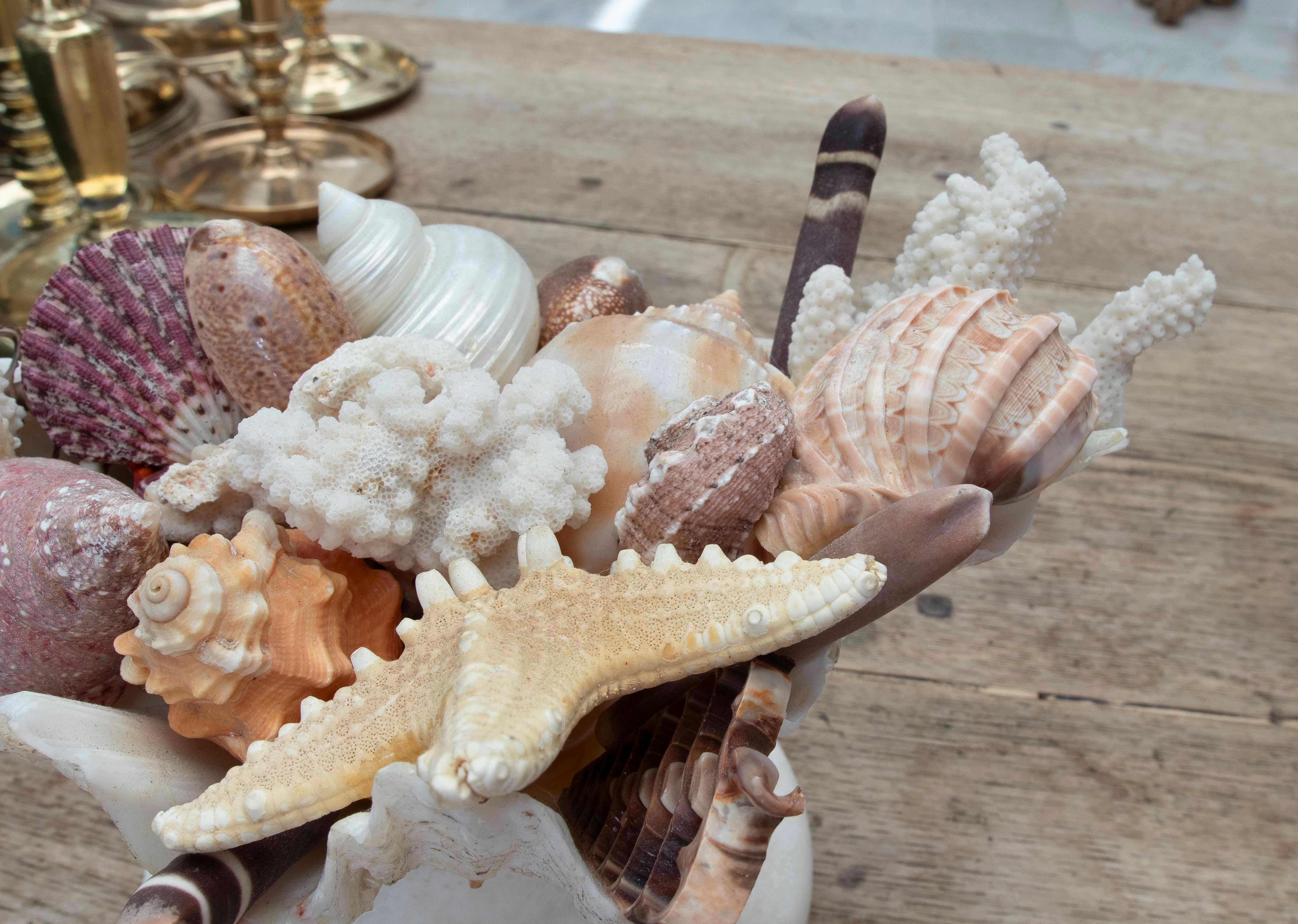 1990s Marine Centerpiece with Shells and Marble Base For Sale 8