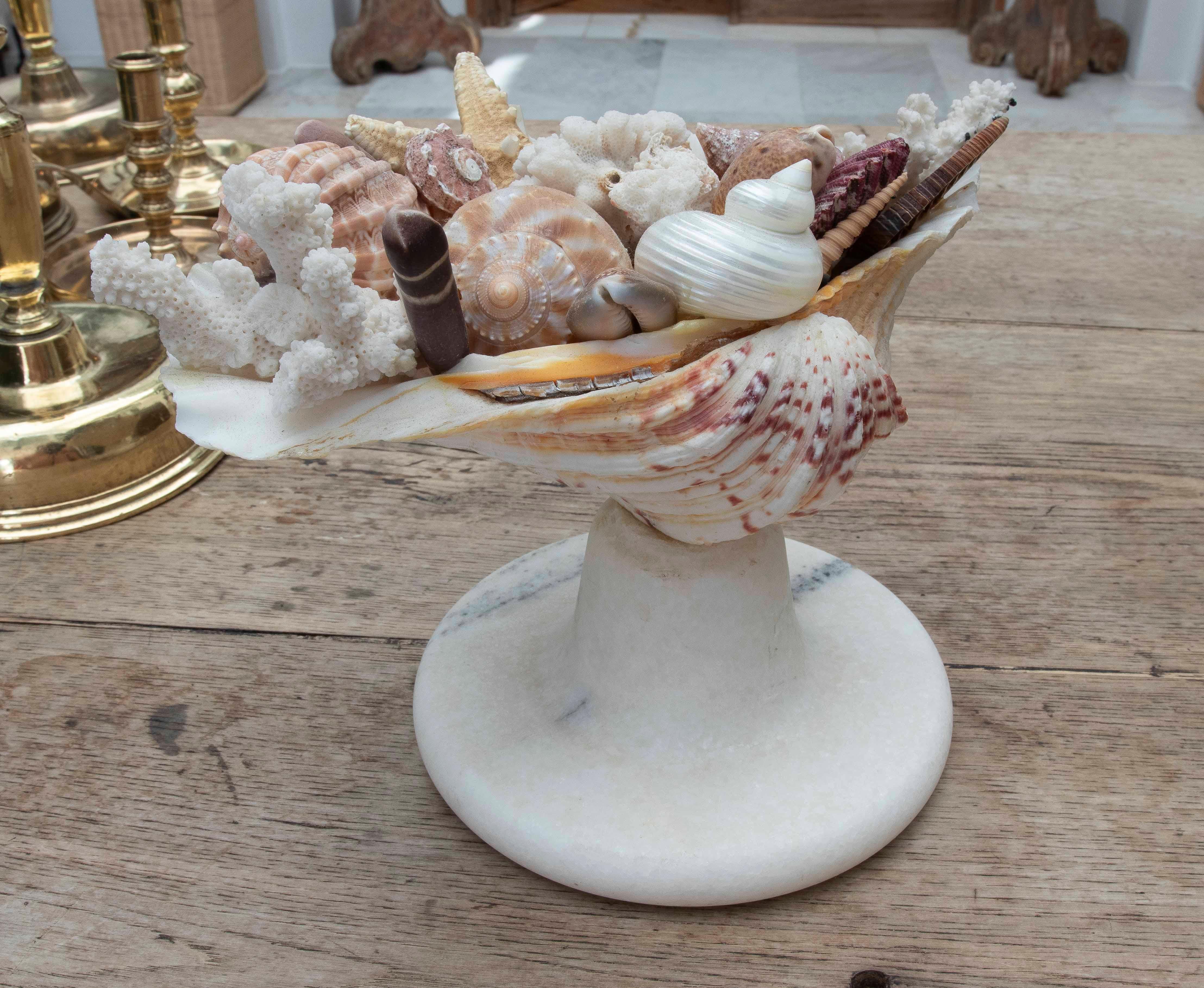 1990s Marine Centerpiece with Shells and Marble Base For Sale 9