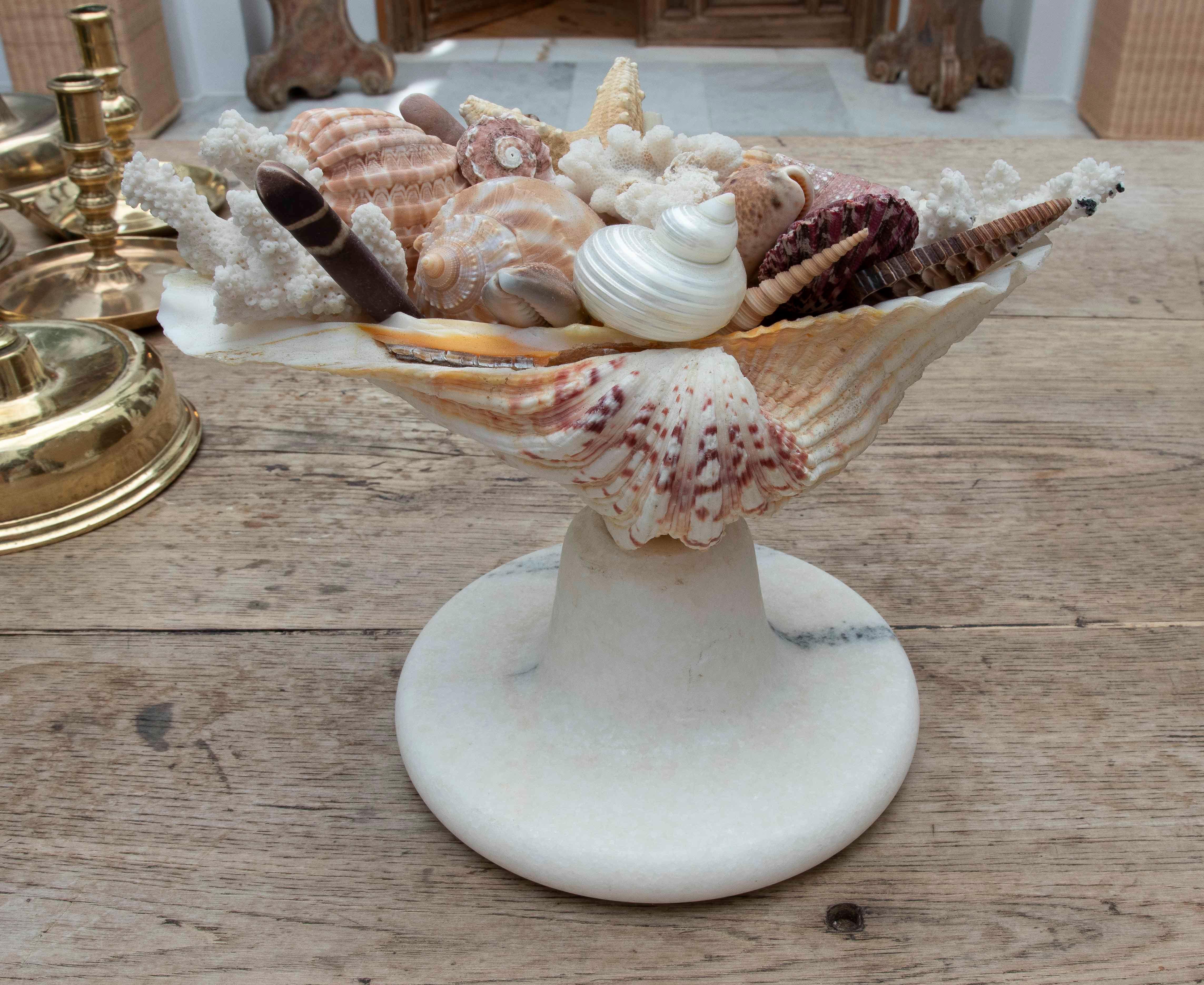1990s Marine Centerpiece with Shells and Marble Base For Sale 10