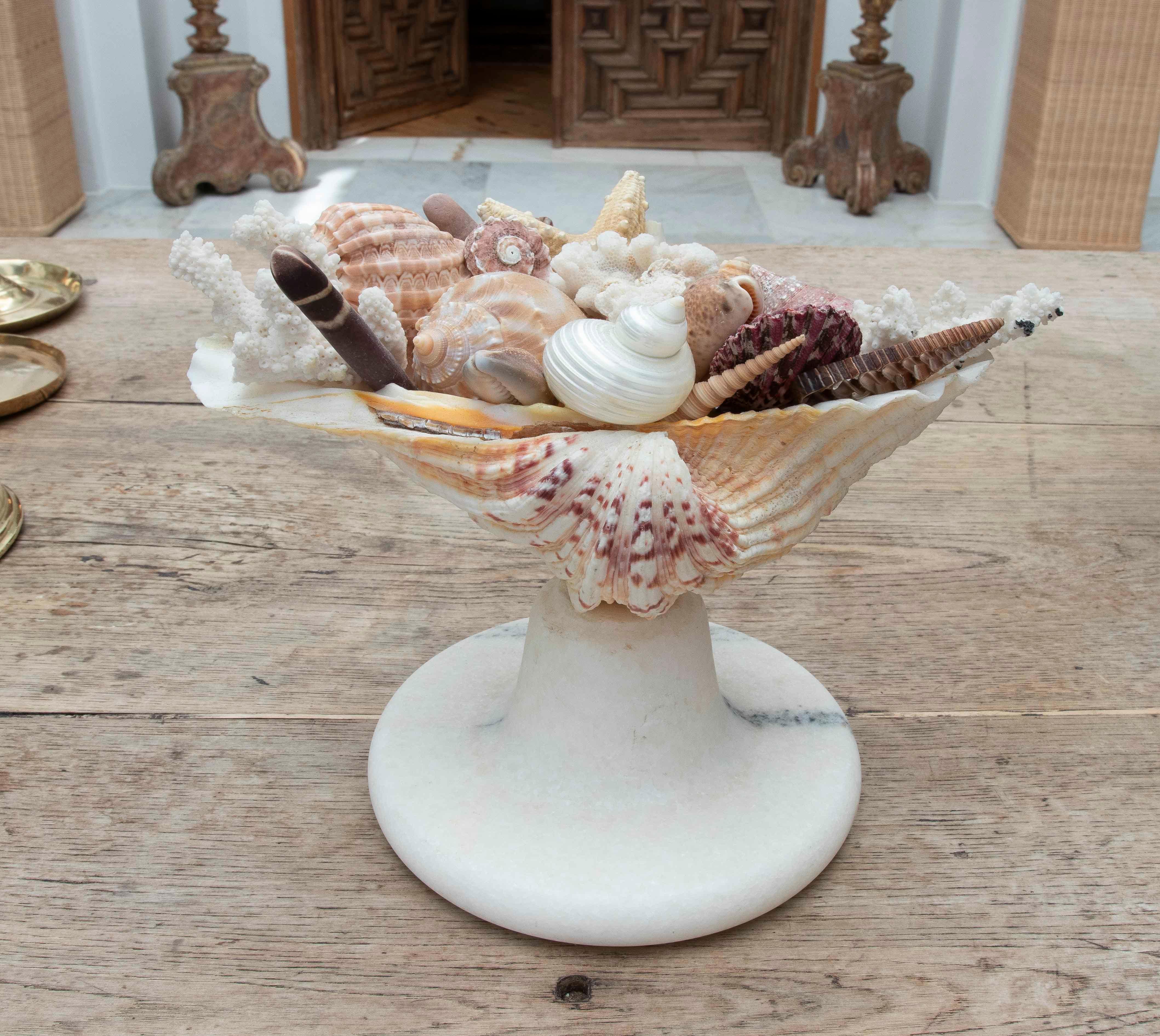 Pieza decorativa de inspiración costera formada por un elegante cuenco natural de concha de vieira gigante, montado sobre una base torneada de mármol blanco pulido, que sostiene un ensamblaje artístico de conchas marinas y corales naturales.

El