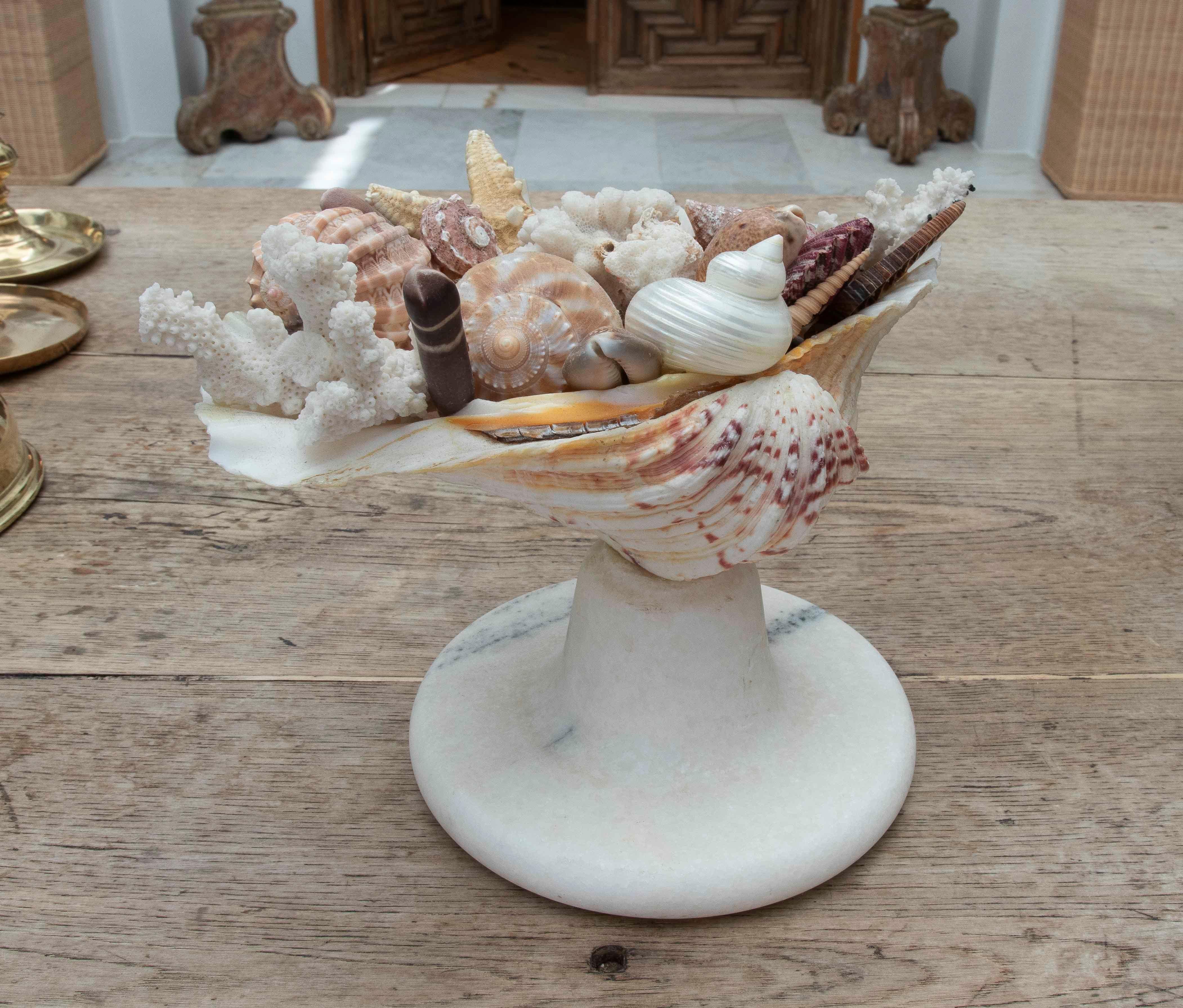 Spanish 1990s Marine Centerpiece with Shells and Marble Base For Sale