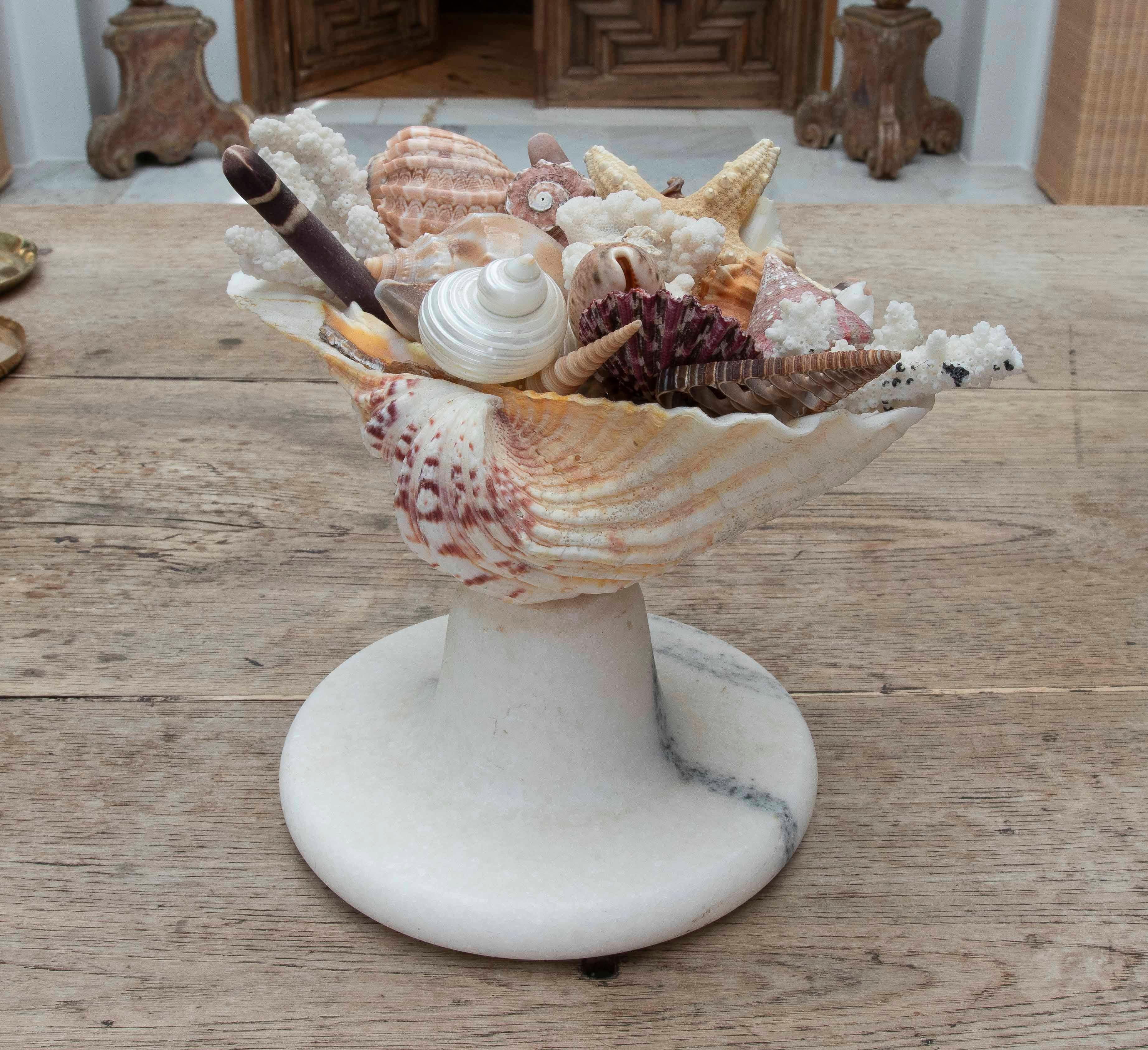 1990s Marine Centerpiece with Shells and Marble Base In Good Condition For Sale In Marbella, ES