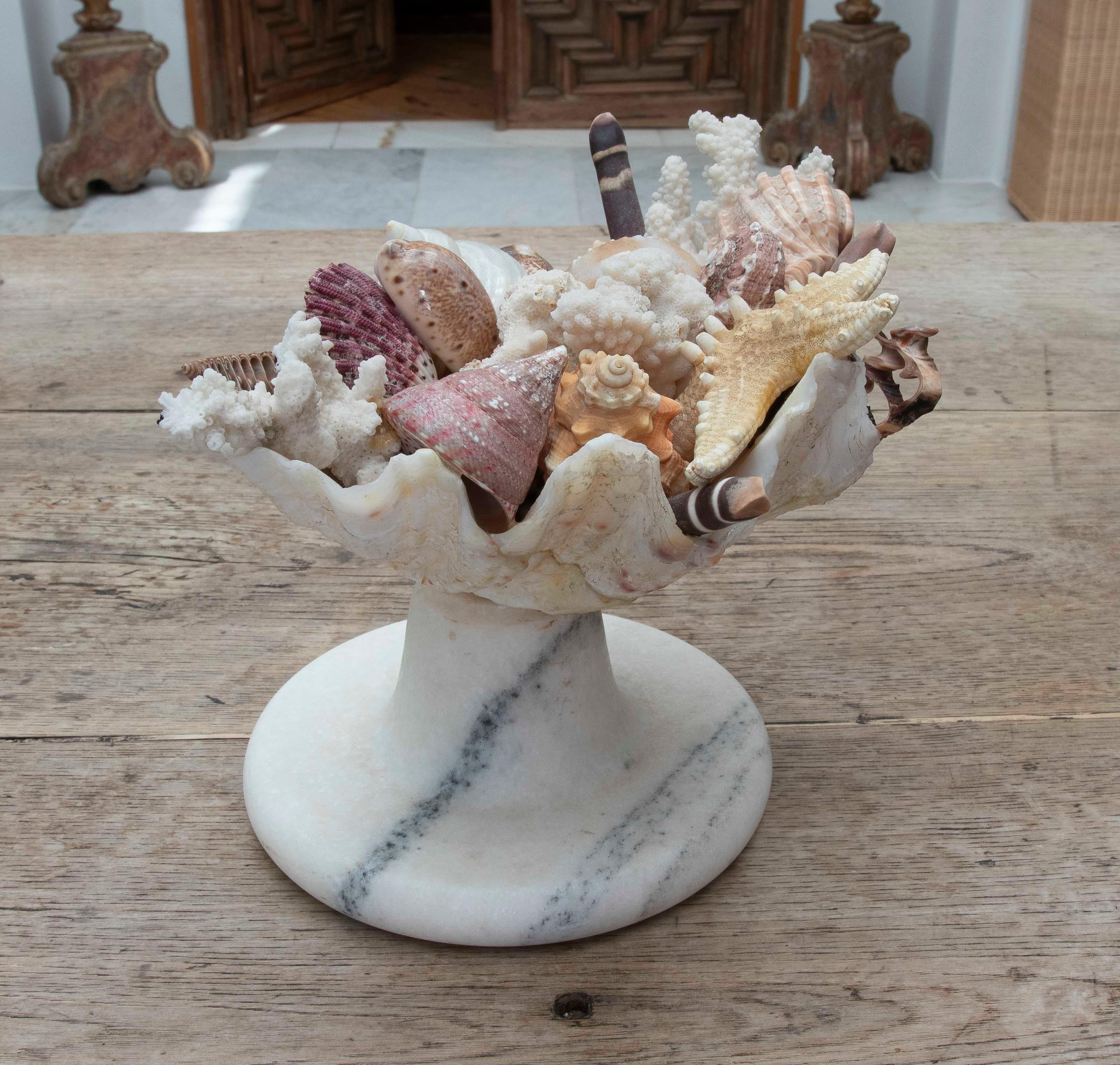 20th Century 1990s Marine Centerpiece with Shells and Marble Base For Sale