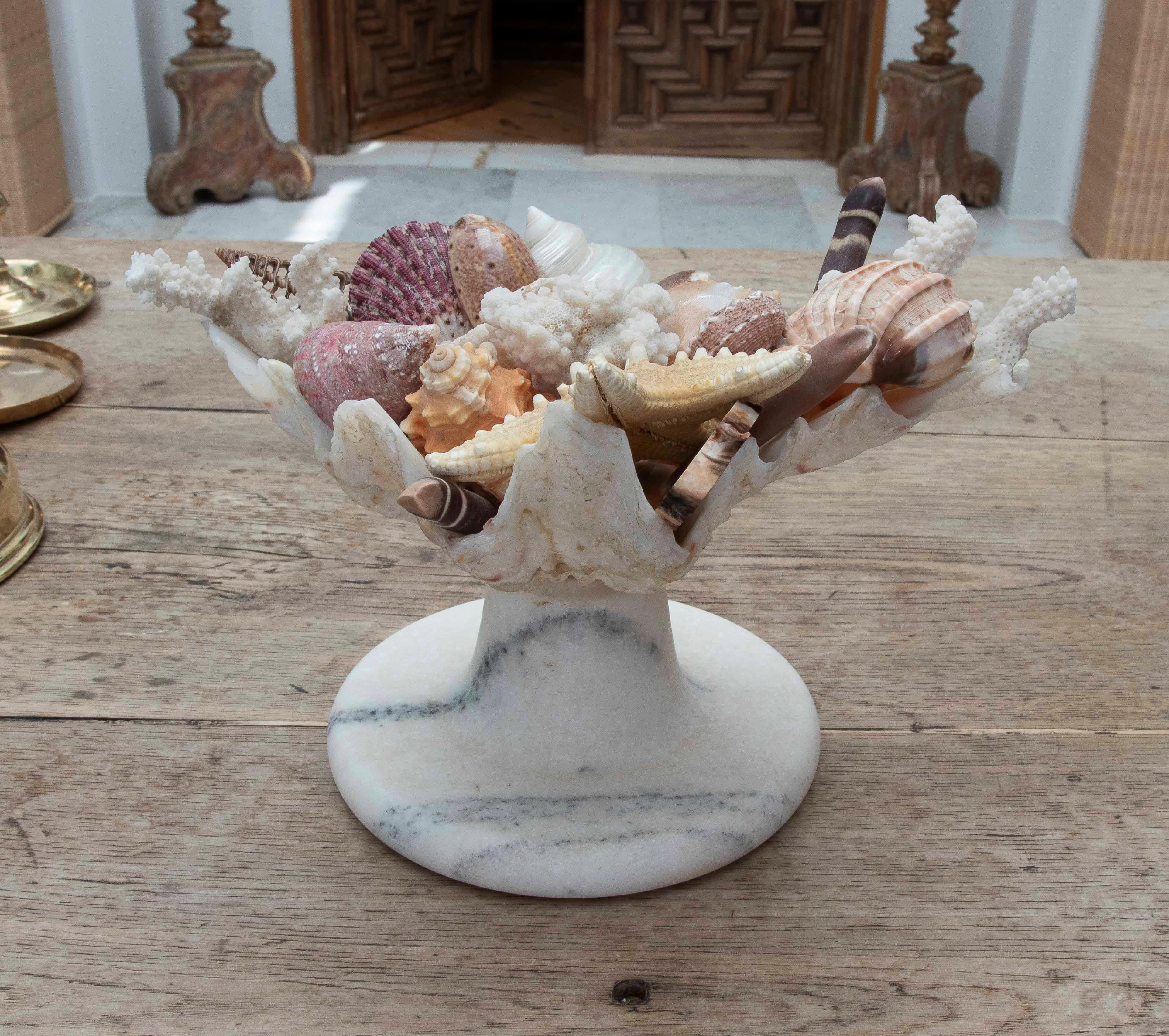 1990s Marine Centerpiece with Shells and Marble Base For Sale 1