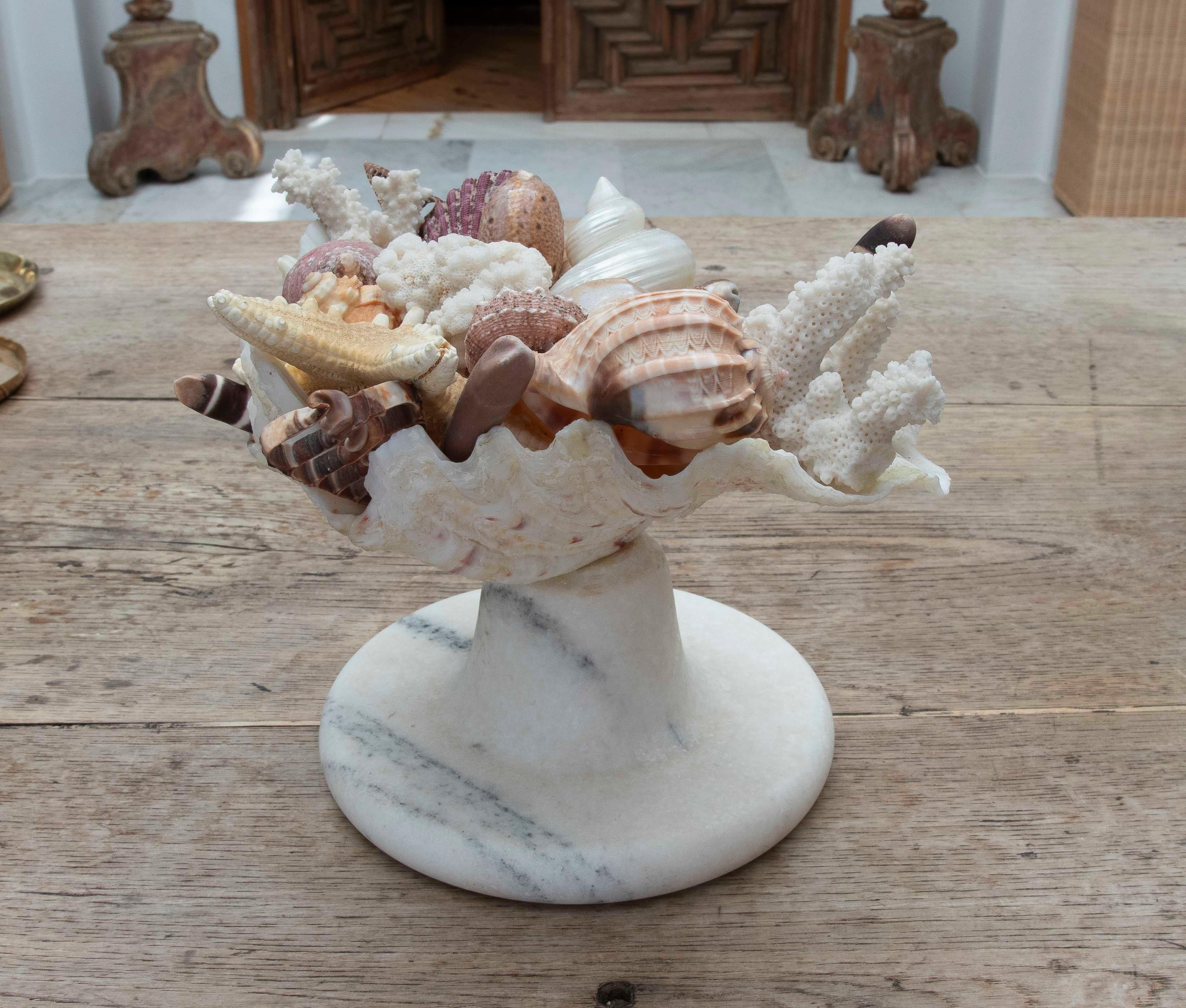 1990s Marine Centerpiece with Shells and Marble Base For Sale 2