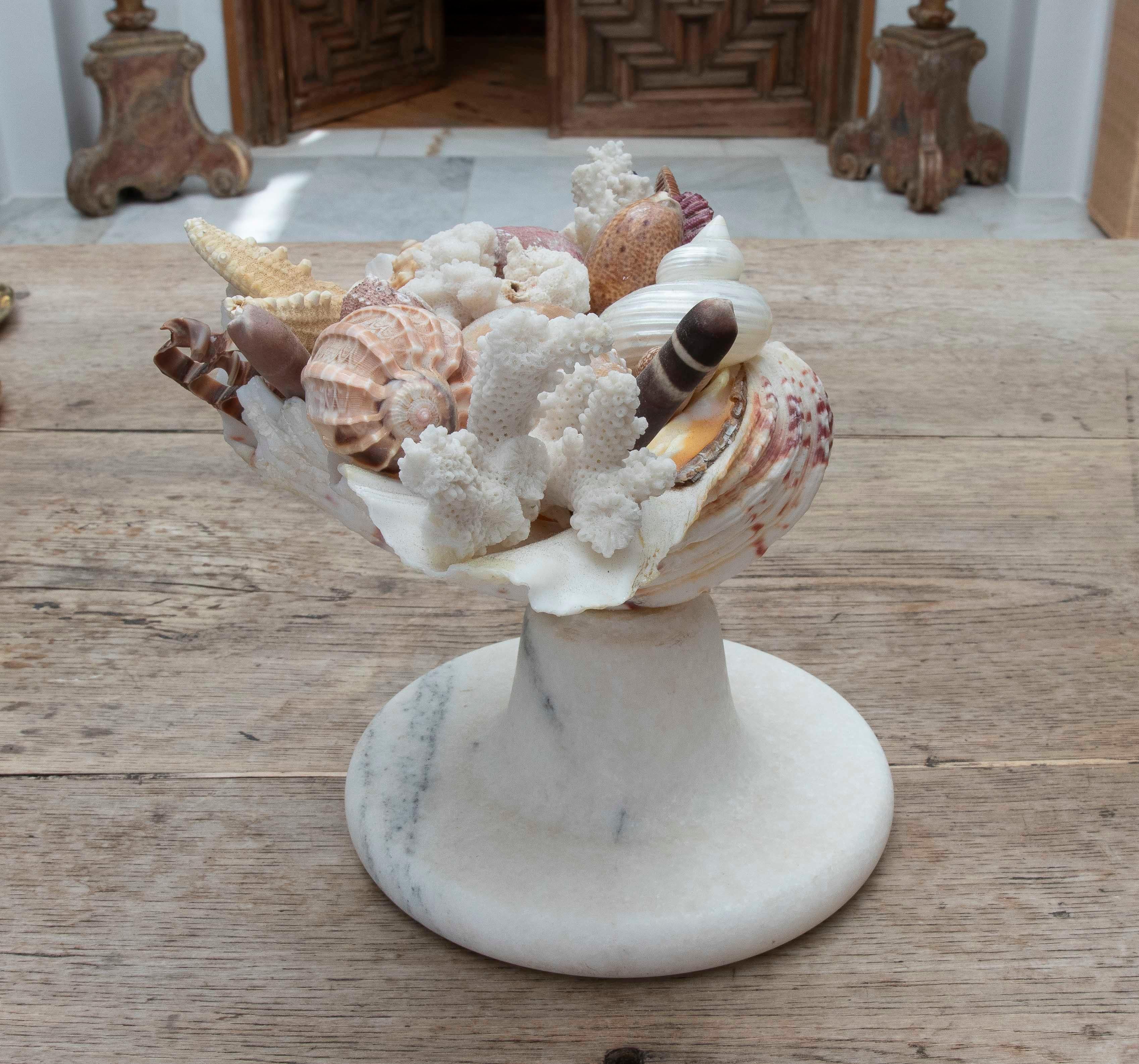 1990s Marine Centerpiece with Shells and Marble Base For Sale 3
