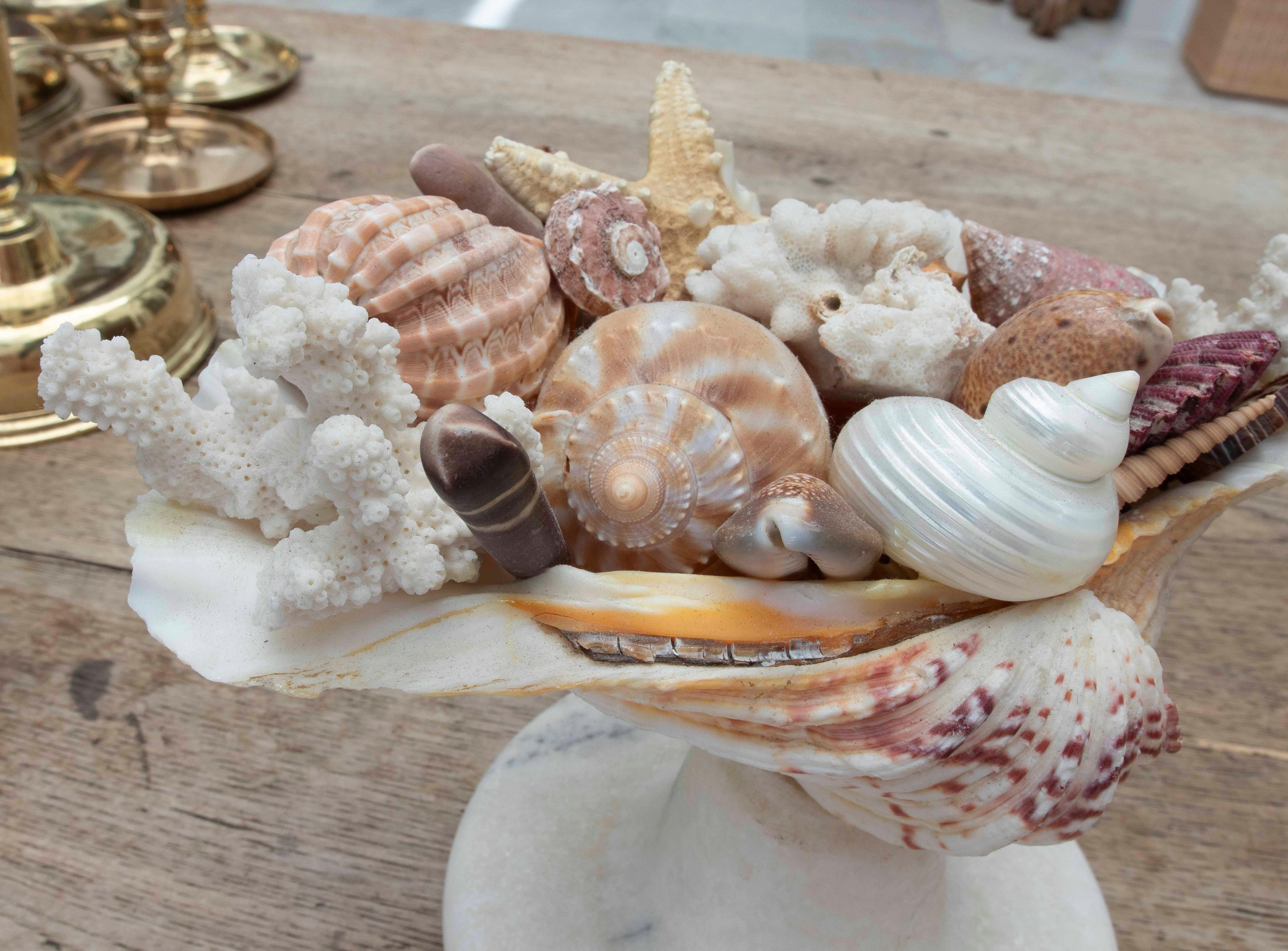 1990s Marine Centerpiece with Shells and Marble Base For Sale 4