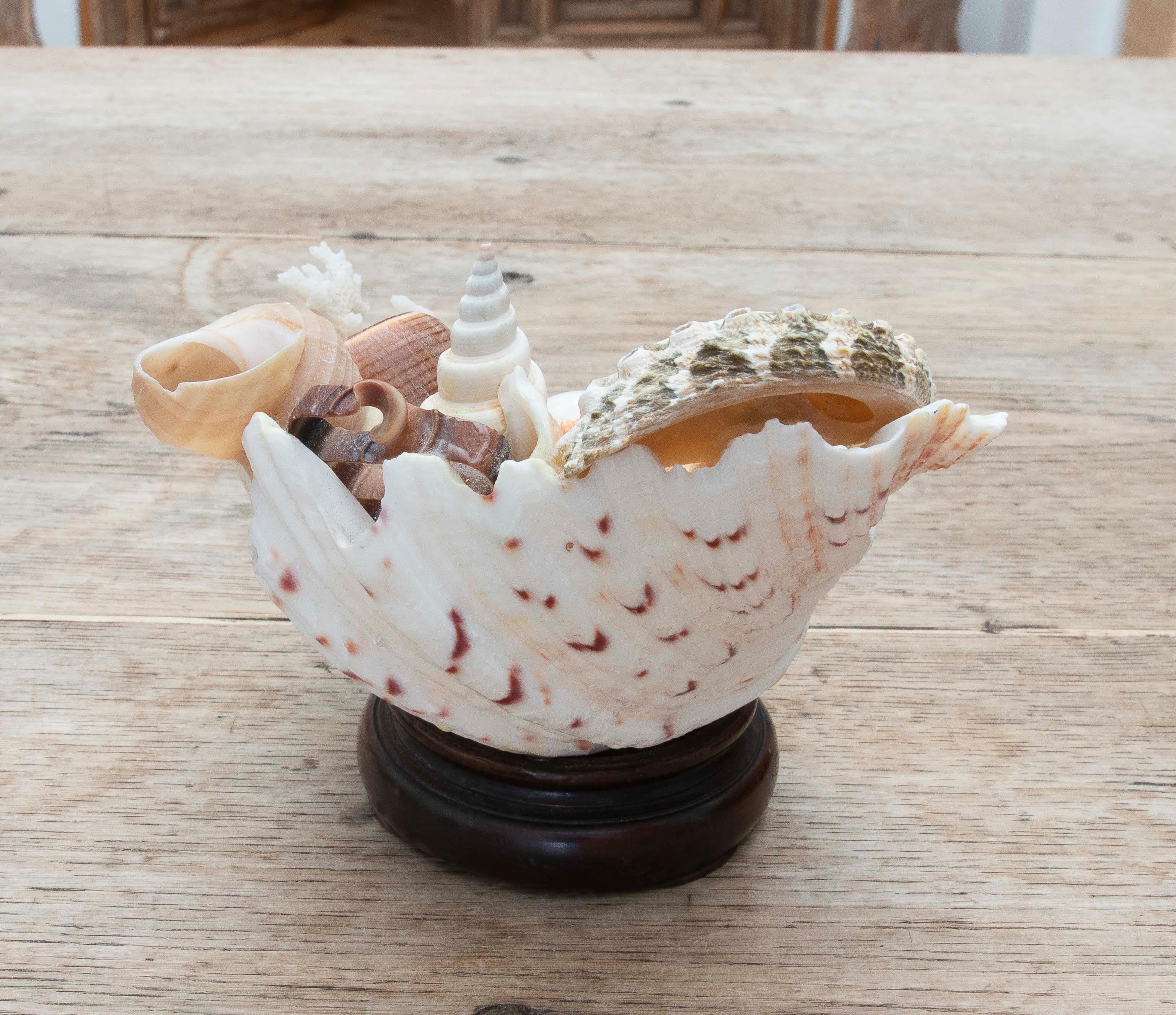 Centre de table décoratif Marin des années 1990 en coquillage naturel sur une base en bois Bon état - En vente à Marbella, ES