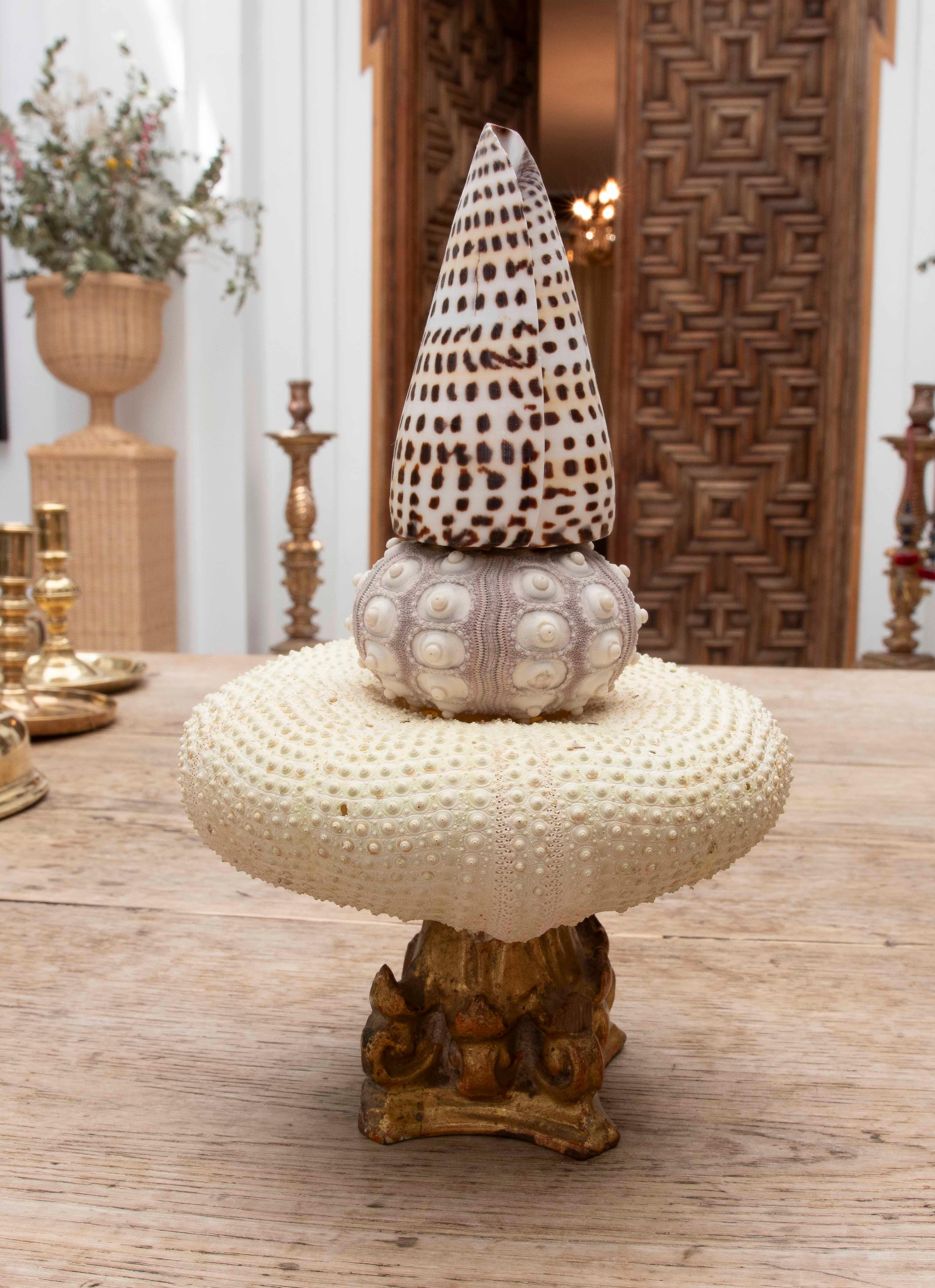 Espagnol 1990 Composition sculpturale marine avec coquillages et oursins sur un Wood Wood doré en vente