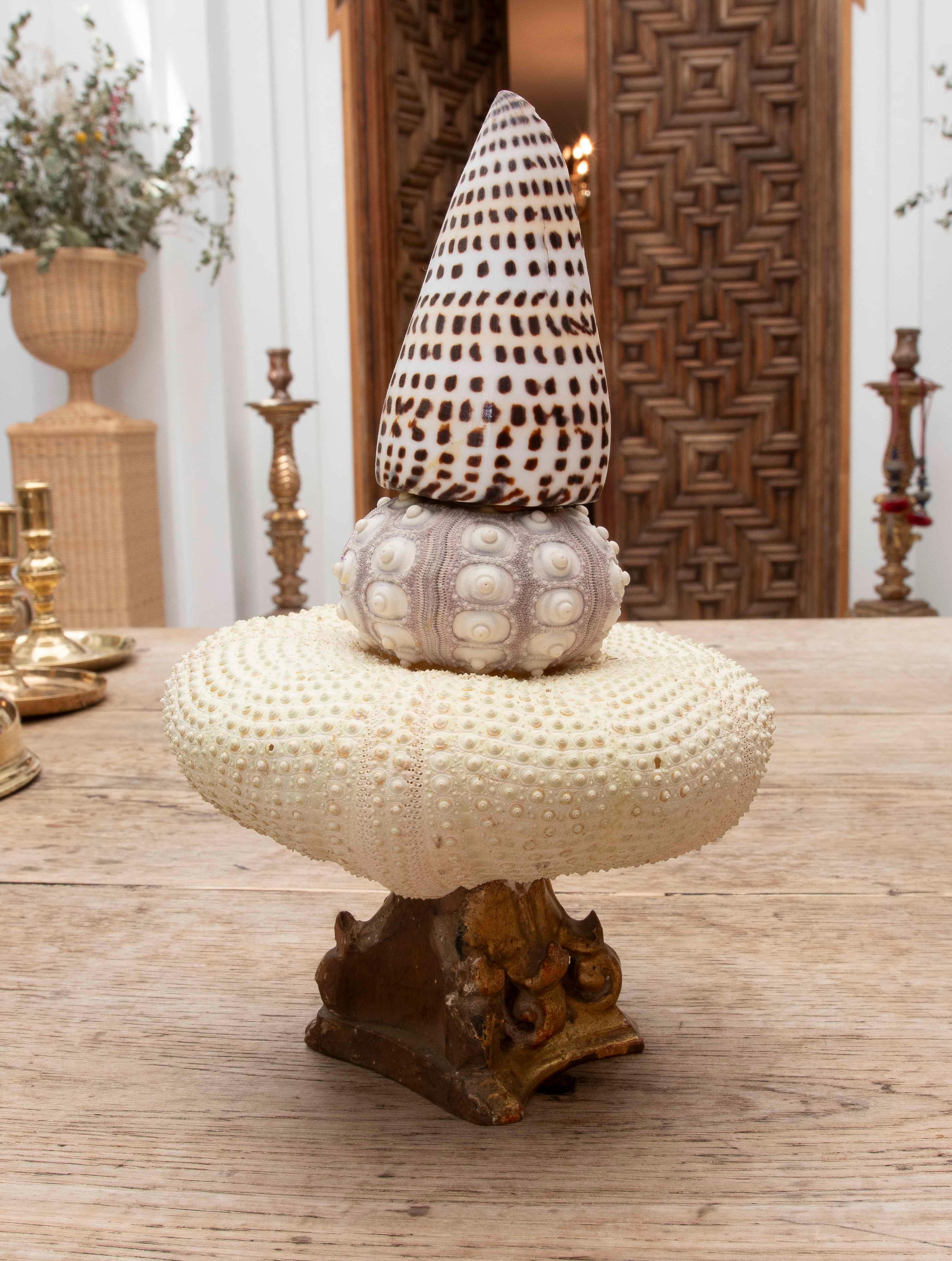 1990 Composition sculpturale marine avec coquillages et oursins sur un Wood Wood doré Bon état - En vente à Marbella, ES