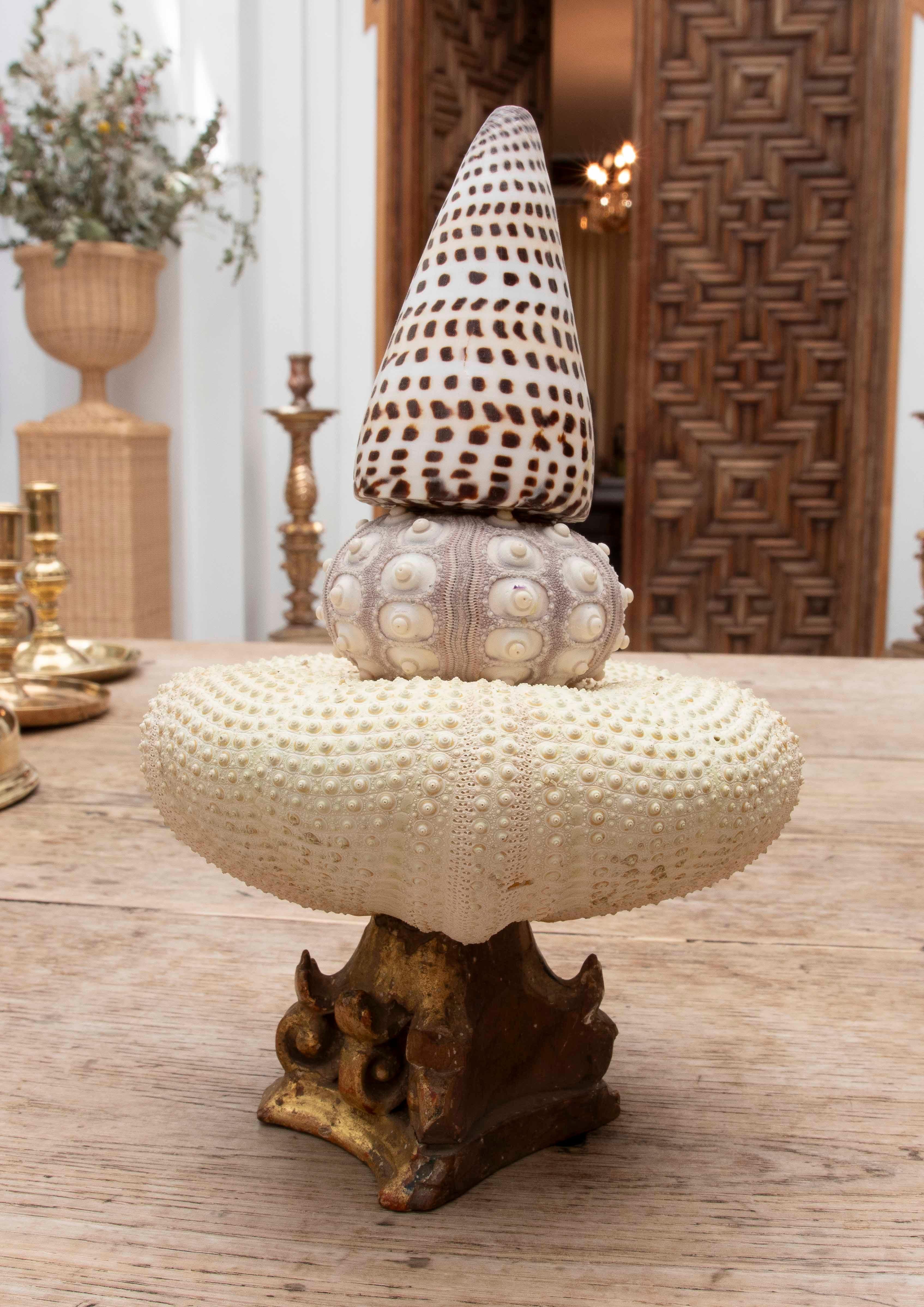Coquillage 1990 Composition sculpturale marine avec coquillages et oursins sur un Wood Wood doré en vente