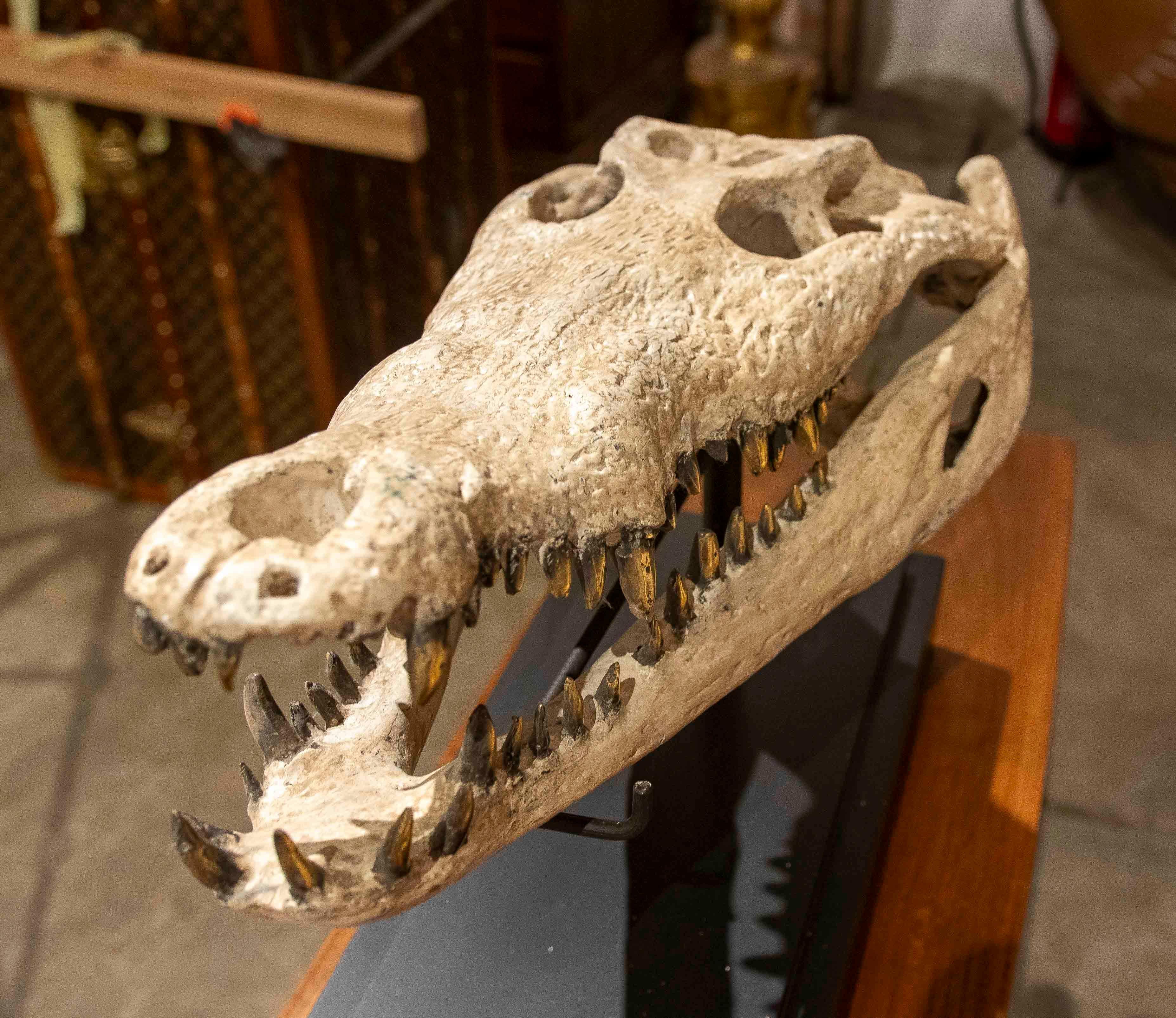 Replica naturalistica degli anni '90 di un teschio di coccodrillo in bronzo con finitura in osso in vendita 7