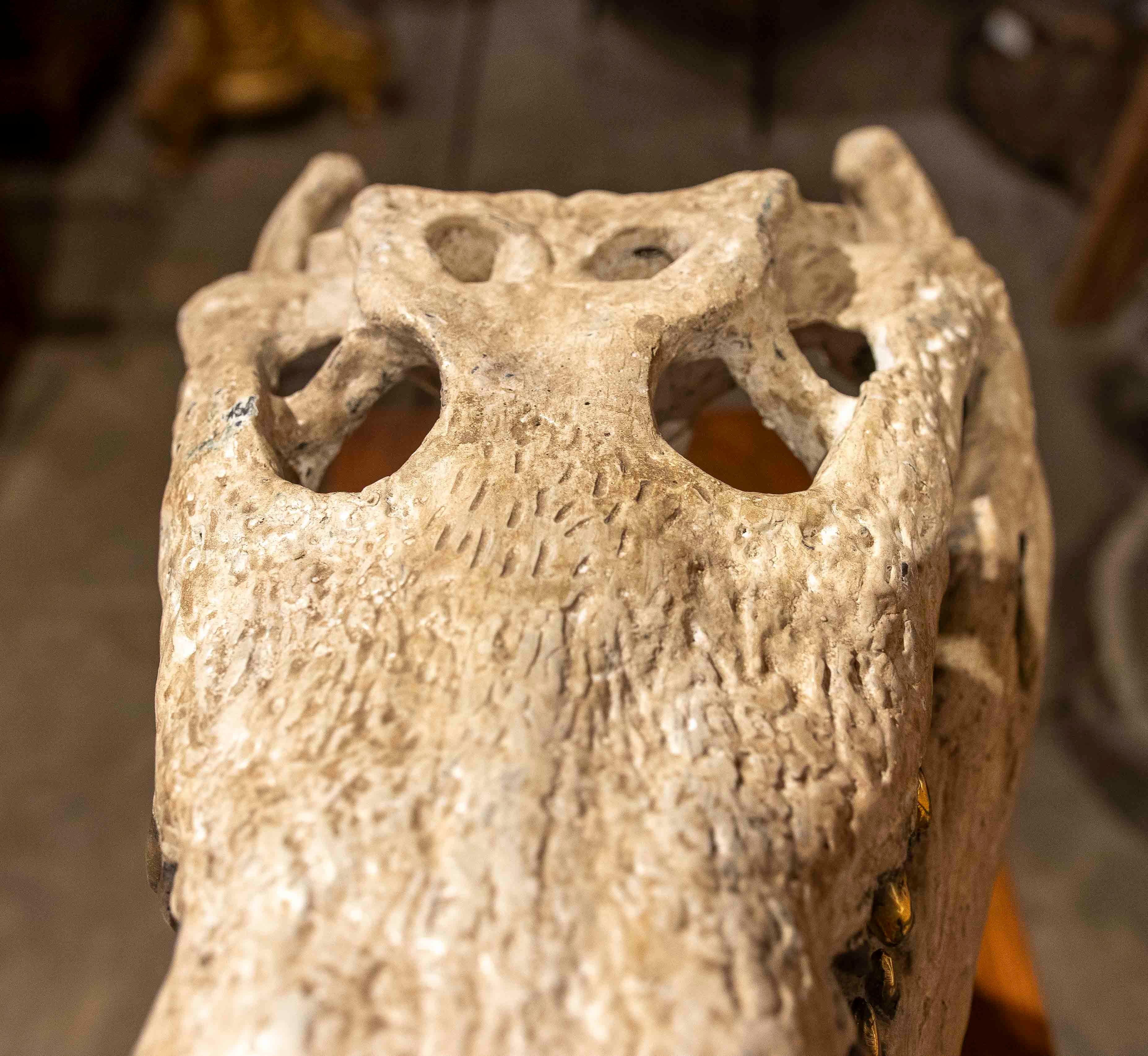 Replica naturalistica degli anni '90 di un teschio di coccodrillo in bronzo con finitura in osso in vendita 8