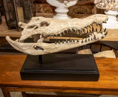 1990s Naturalistic Replica of a Bronze Crocodile Skull in Bone Finish