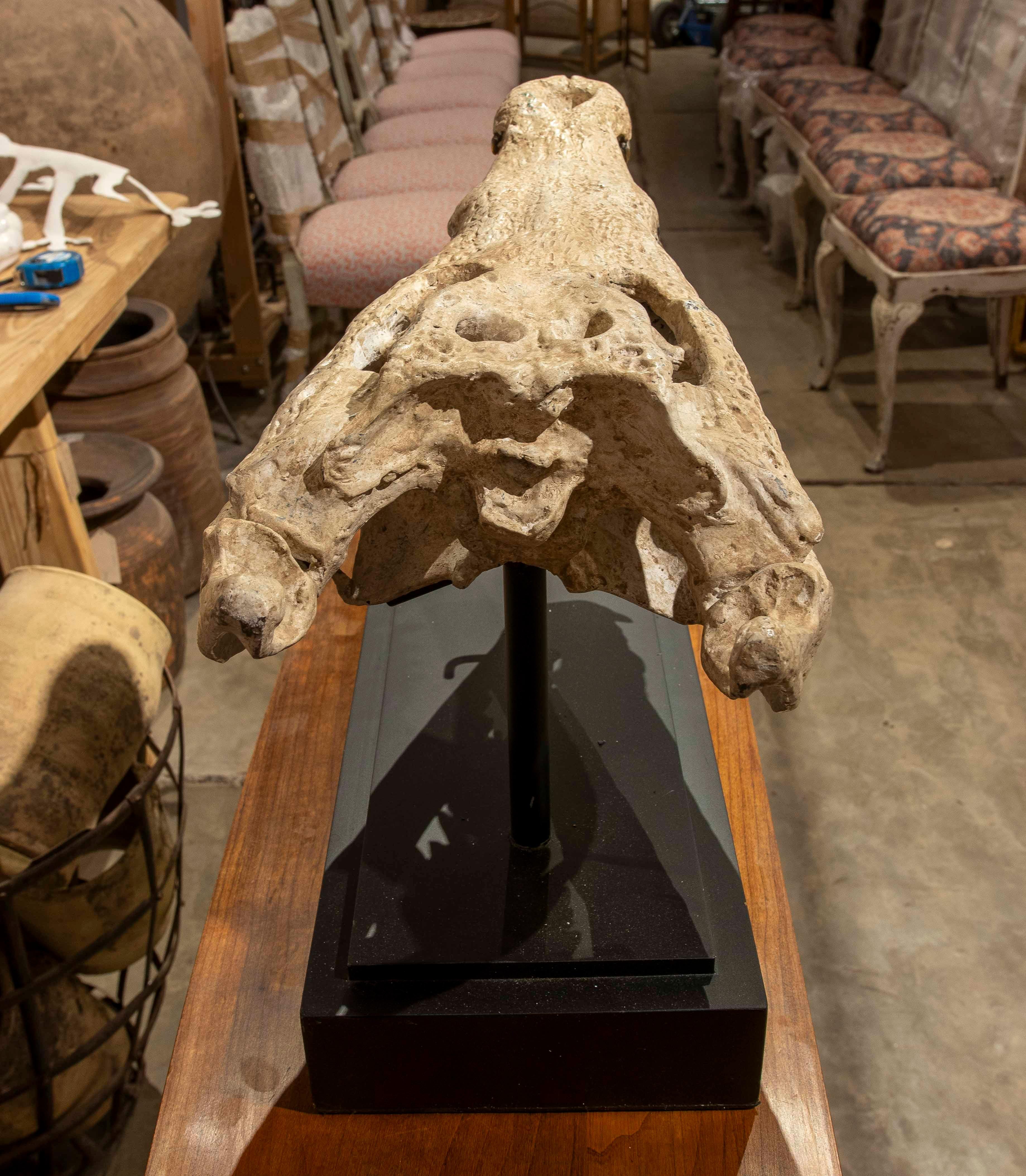 Replica naturalistica degli anni '90 di un teschio di coccodrillo in bronzo con finitura in osso In condizioni buone in vendita a Marbella, ES