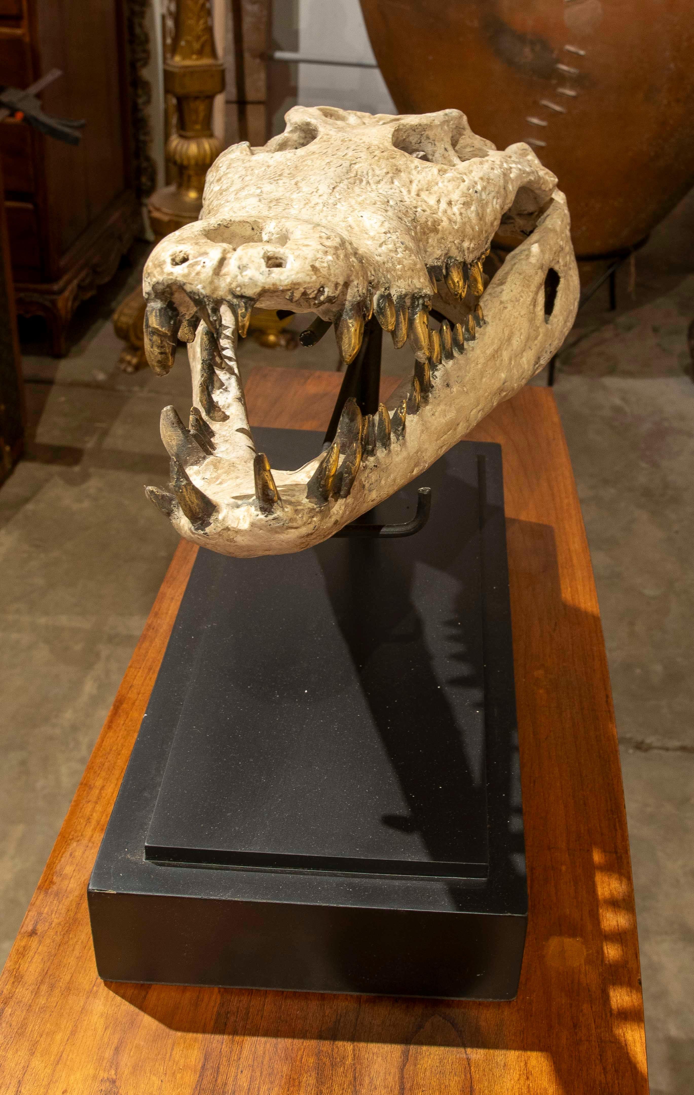 XX secolo Replica naturalistica degli anni '90 di un teschio di coccodrillo in bronzo con finitura in osso in vendita