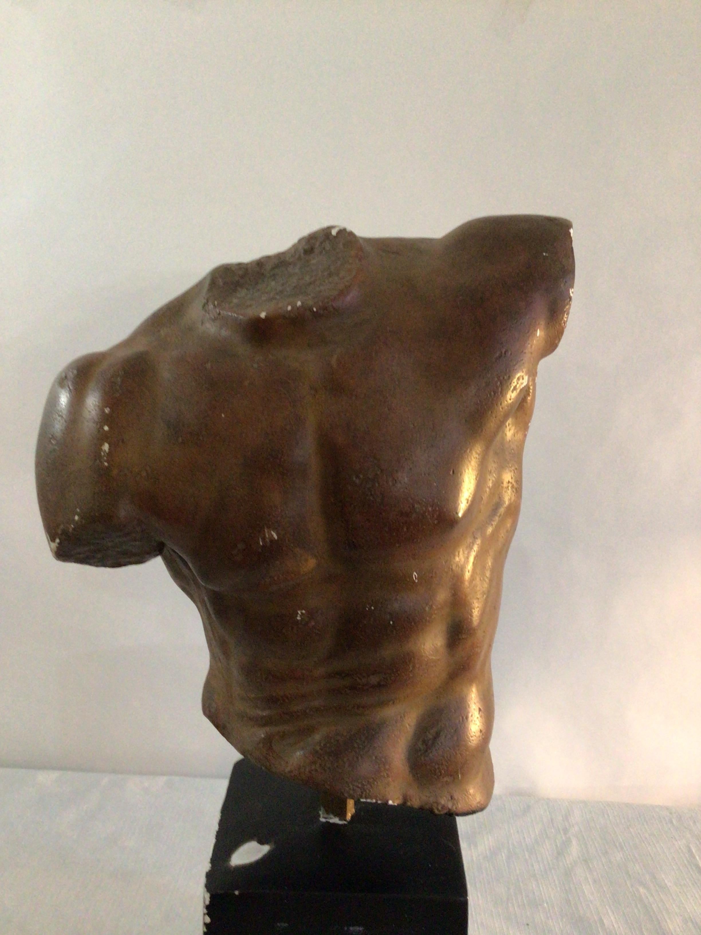 Unknown 1990s Painted Plaster Male Torso on a Painted Plaster Base For Sale