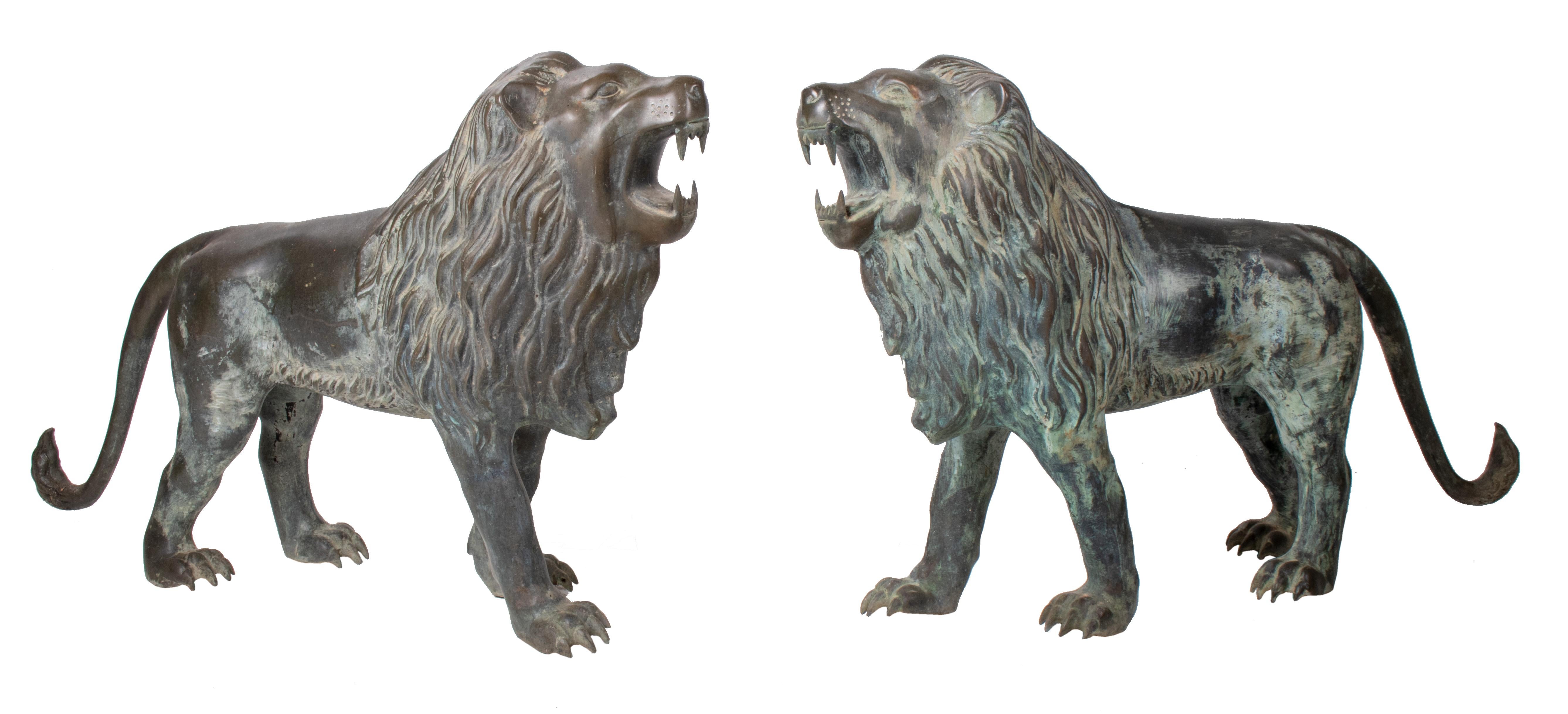 1990s pair of bronze standing lions with open mouths.