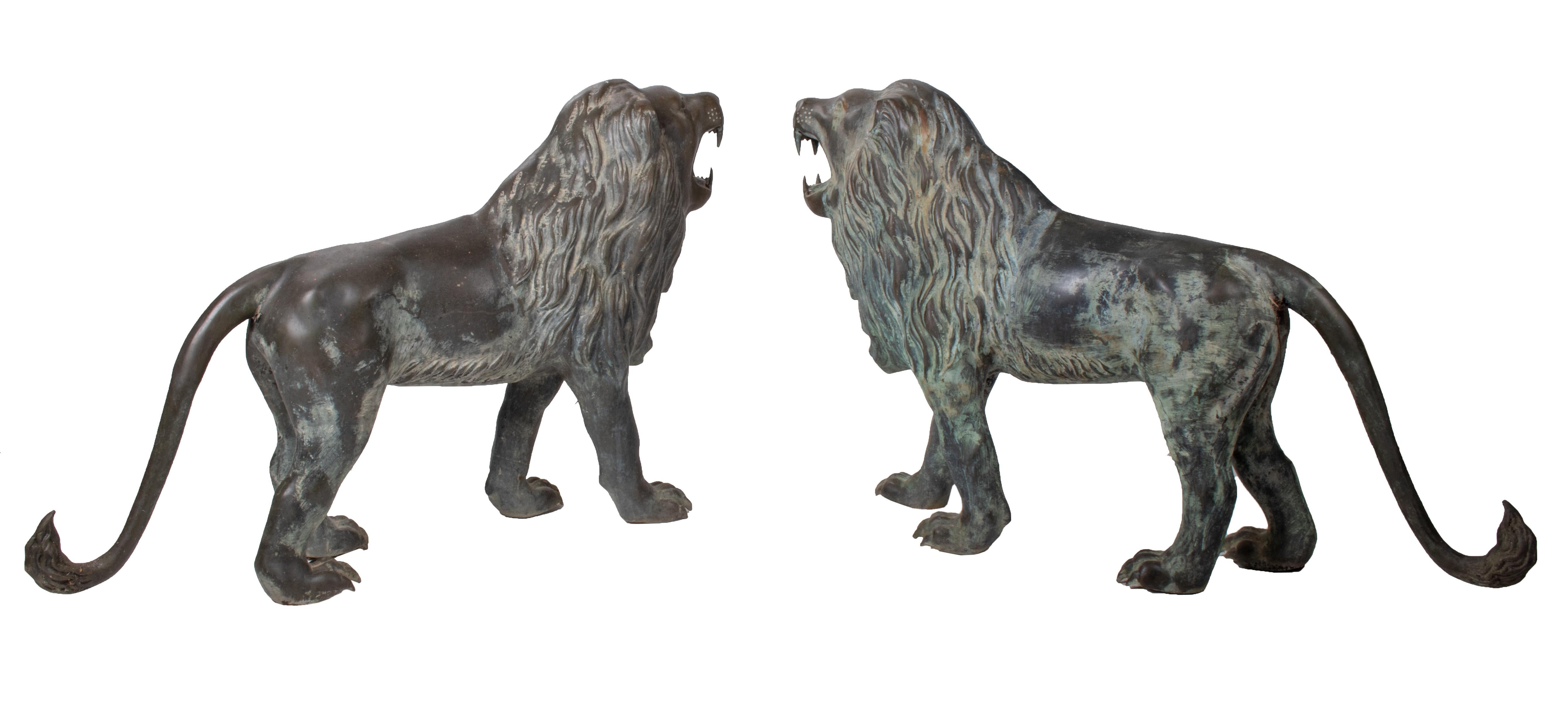 European 1990s Pair of Bronze Standing Lions with Open Mouths For Sale