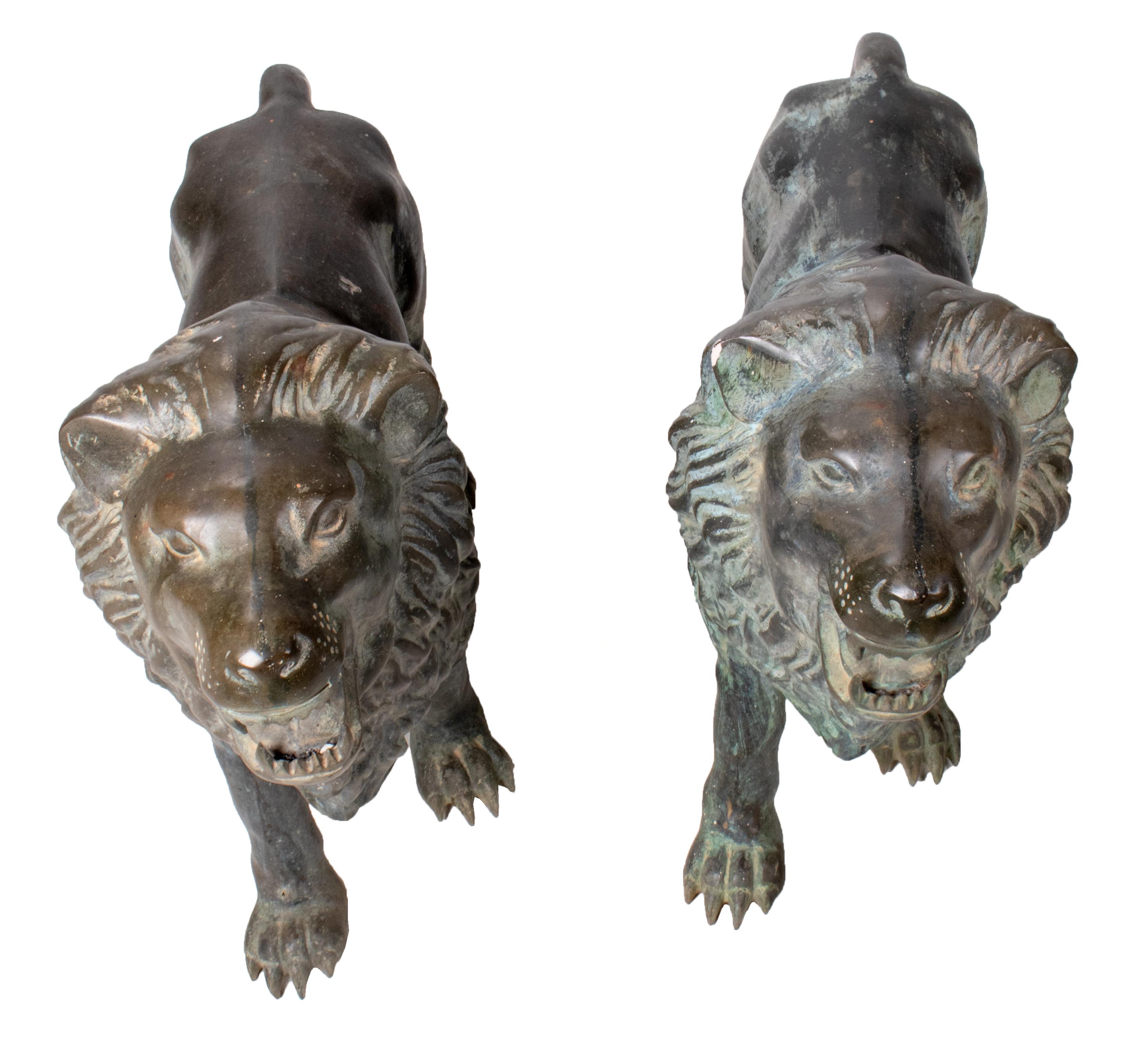 Late 20th Century 1990s Pair of Bronze Standing Lions with Open Mouths For Sale