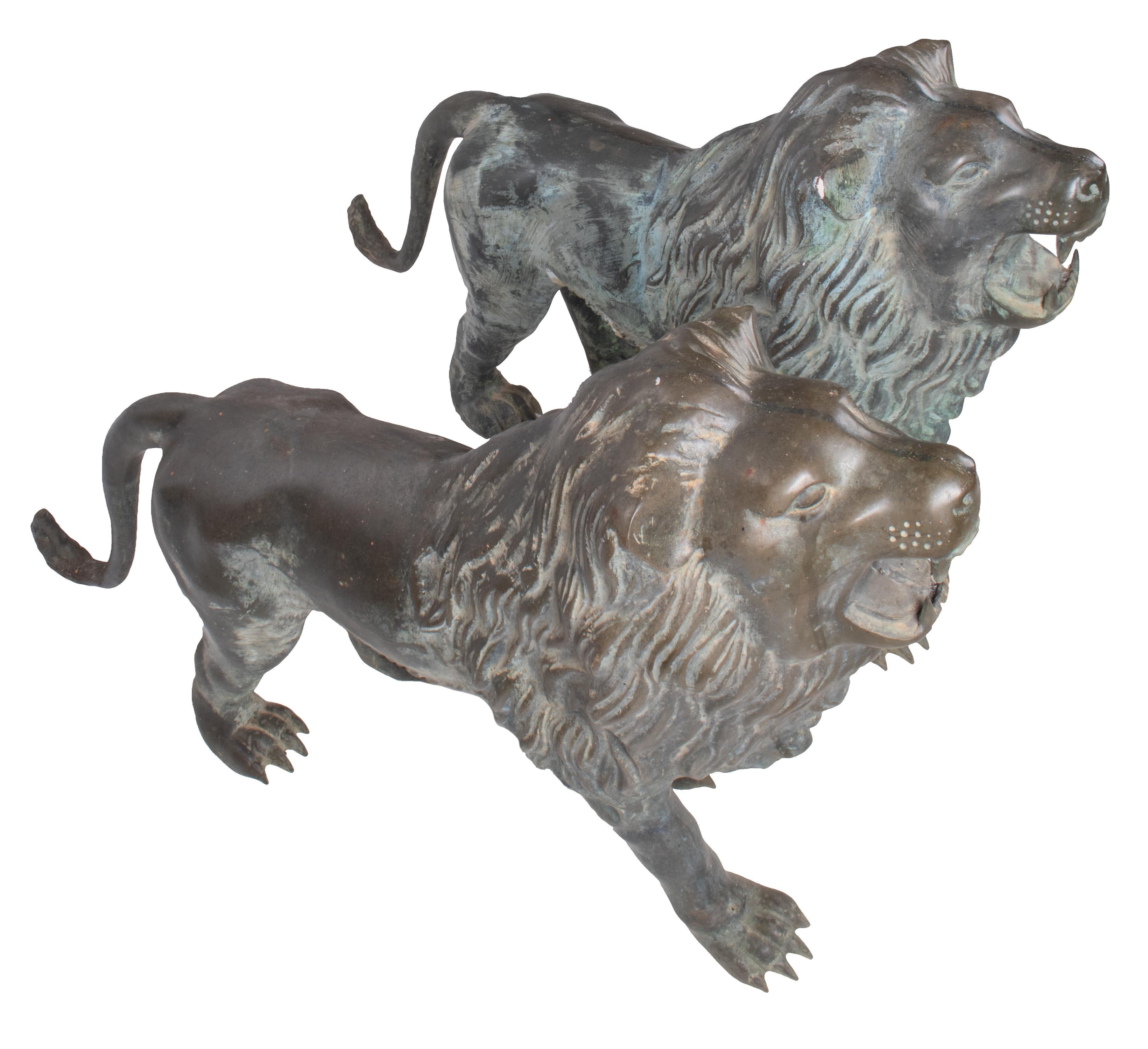 1990s Pair of Bronze Standing Lions with Open Mouths For Sale 1